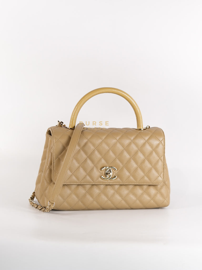 Coco Lizard-Embossed Top Handle Medium in Dark Beige Caviar Leather & Gold Hardware Microchip | Purse Maison Luxury Bags Shop
