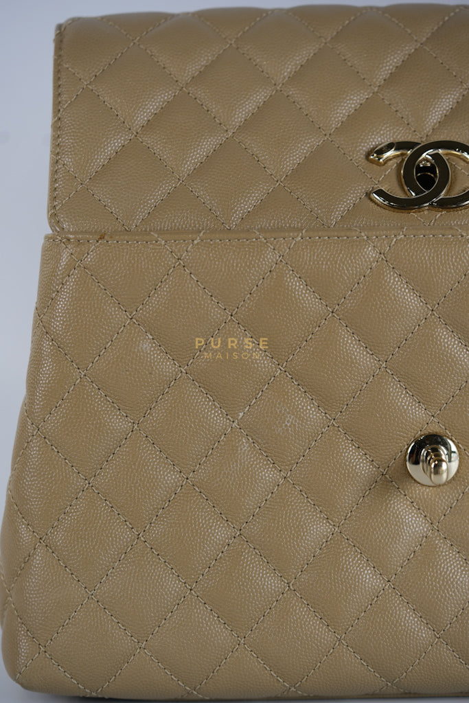 Coco Lizard-Embossed Top Handle Medium in Dark Beige Caviar Leather & Gold Hardware Microchip | Purse Maison Luxury Bags Shop