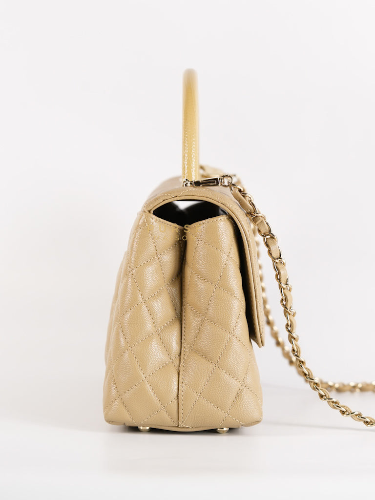 Coco Lizard-Embossed Top Handle Medium in Dark Beige Caviar Leather & Gold Hardware Microchip | Purse Maison Luxury Bags Shop