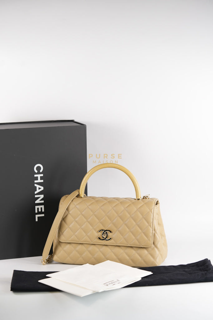Coco Lizard-Embossed Top Handle Medium in Dark Beige Caviar Leather & Gold Hardware Microchip | Purse Maison Luxury Bags Shop