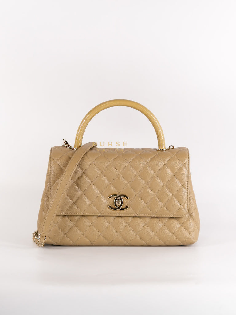 Coco Lizard-Embossed Top Handle Medium in Dark Beige Caviar Leather & Gold Hardware Microchip | Purse Maison Luxury Bags Shop