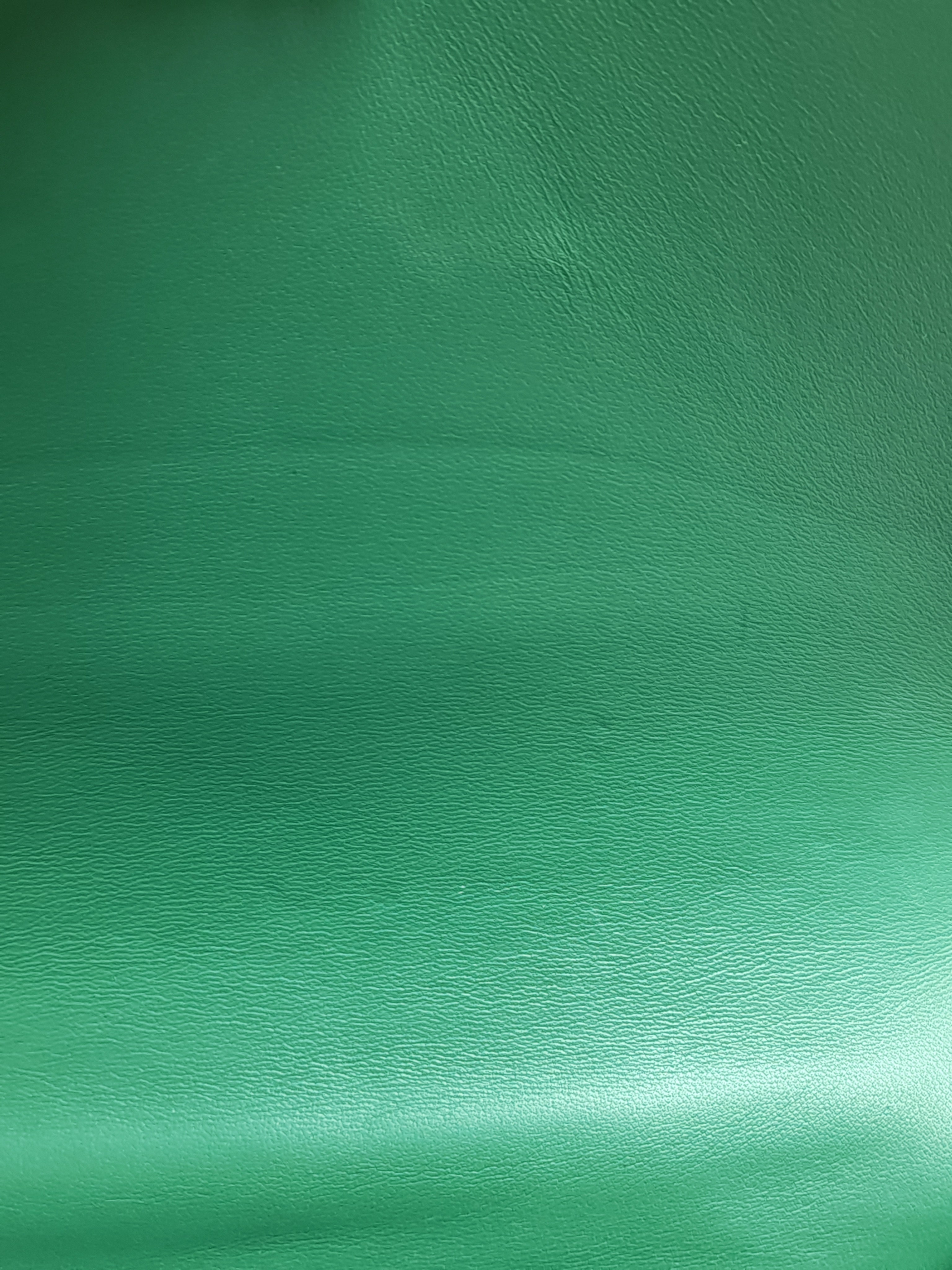 Constance 24 Vert Vertigo in Evercolor Leather and Palladium Hardware Stamp A (2017) | Purse Maison Luxury Bags Shop