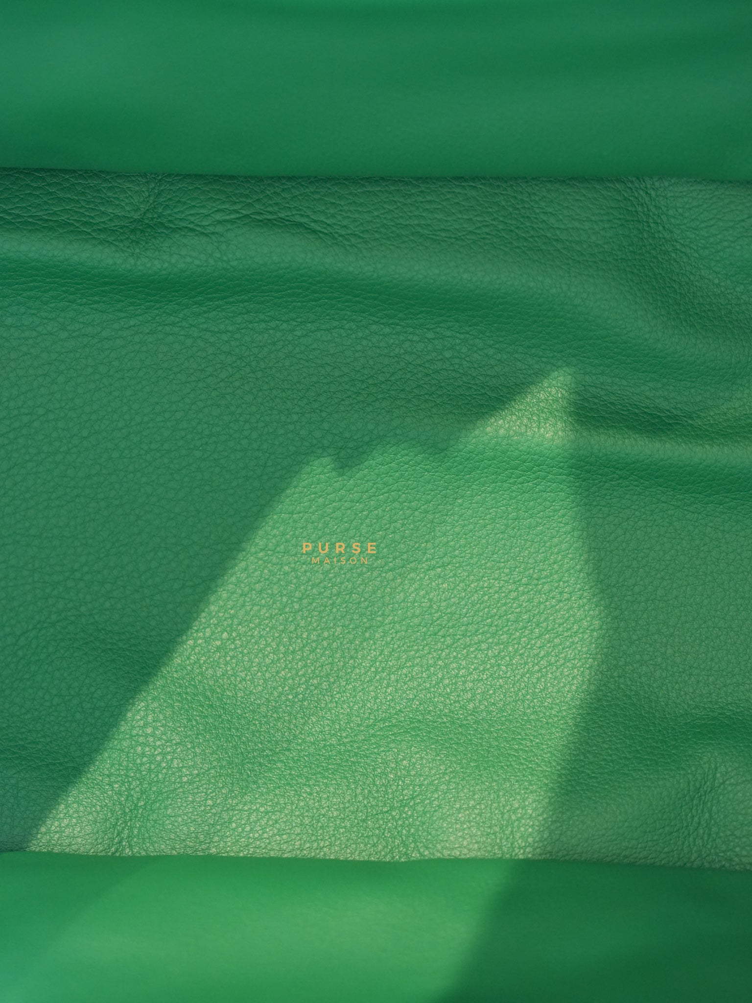 Anjou PM in Green Tote Bag | Purse Maison Luxury Bags Shop