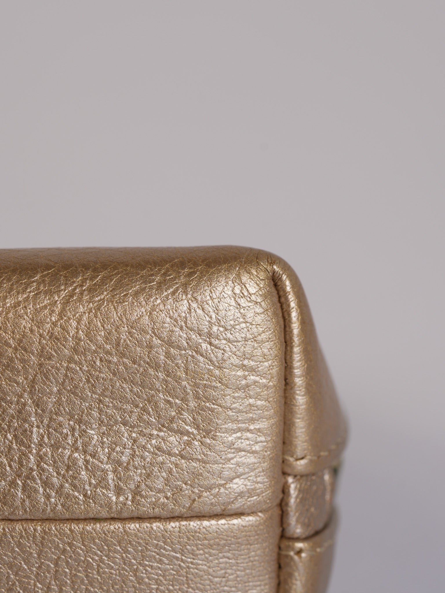 Cosmetic Case Metallic Goatskin Leather and Silver Hardware Series 11 | Purse Maison Luxury Bags Shop