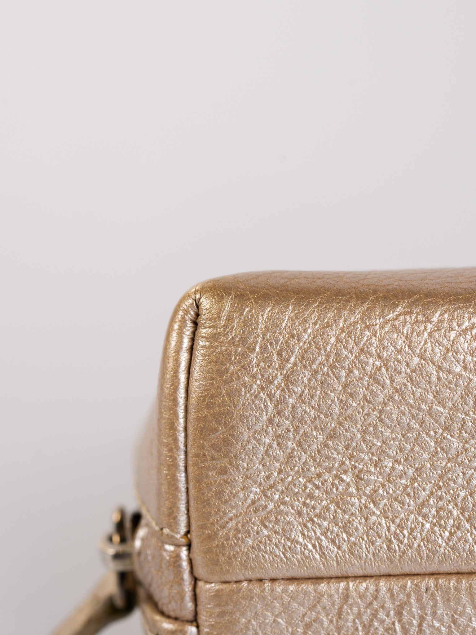 Cosmetic Case Metallic Goatskin Leather and Silver Hardware Series 11 | Purse Maison Luxury Bags Shop