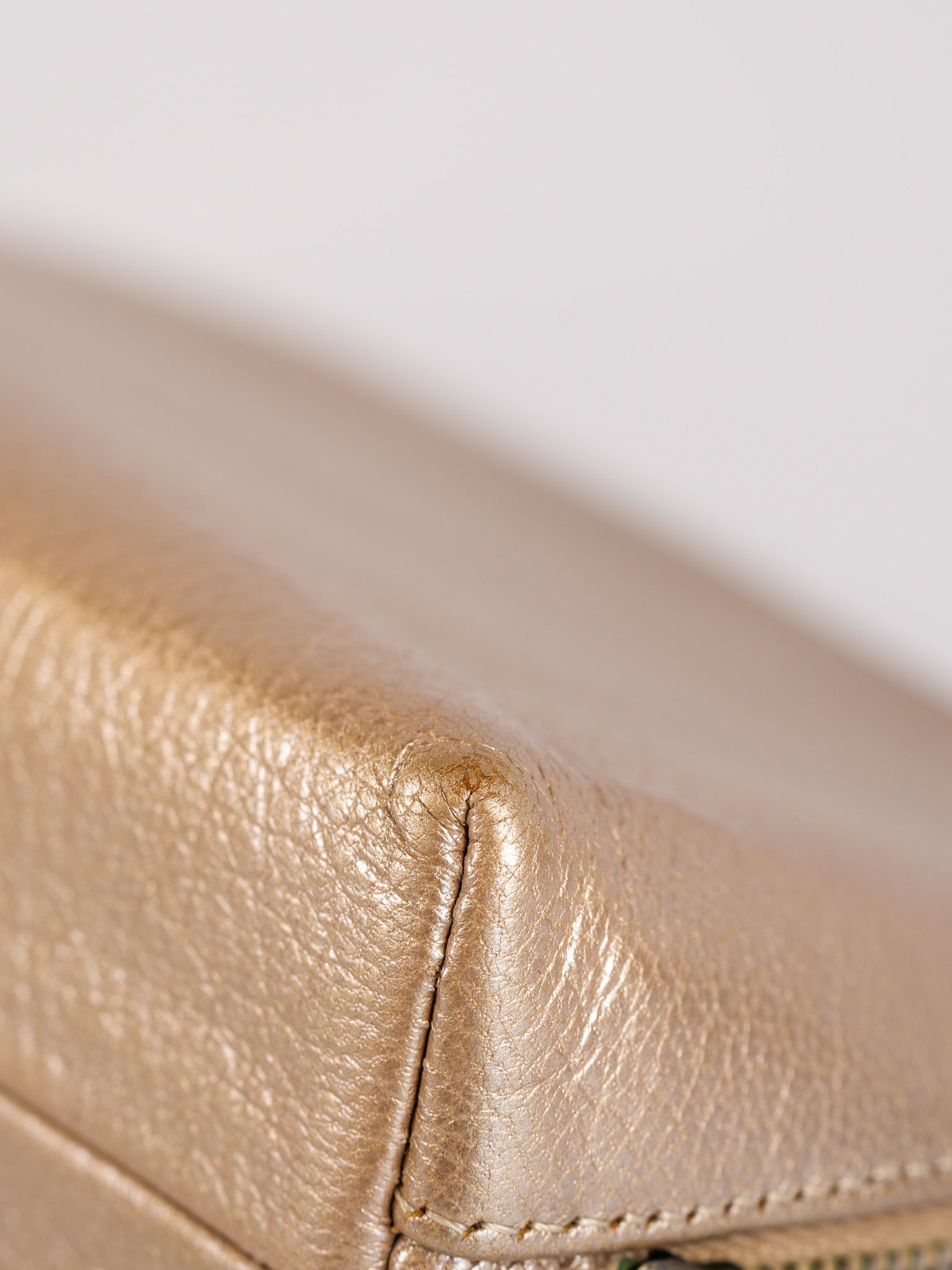 Cosmetic Case Metallic Goatskin Leather and Silver Hardware Series 11 | Purse Maison Luxury Bags Shop