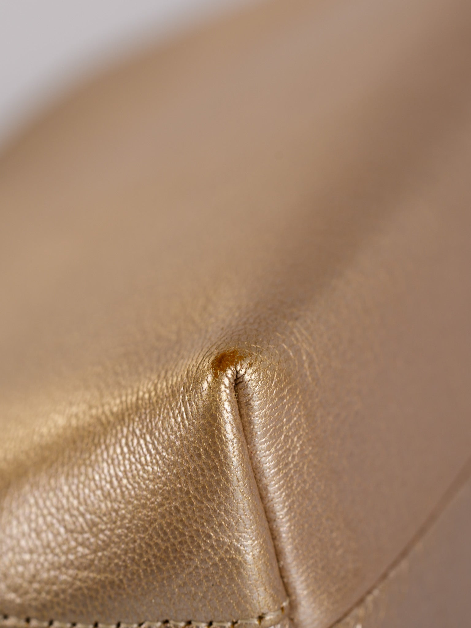 Cosmetic Case Metallic Goatskin Leather and Silver Hardware Series 11 | Purse Maison Luxury Bags Shop