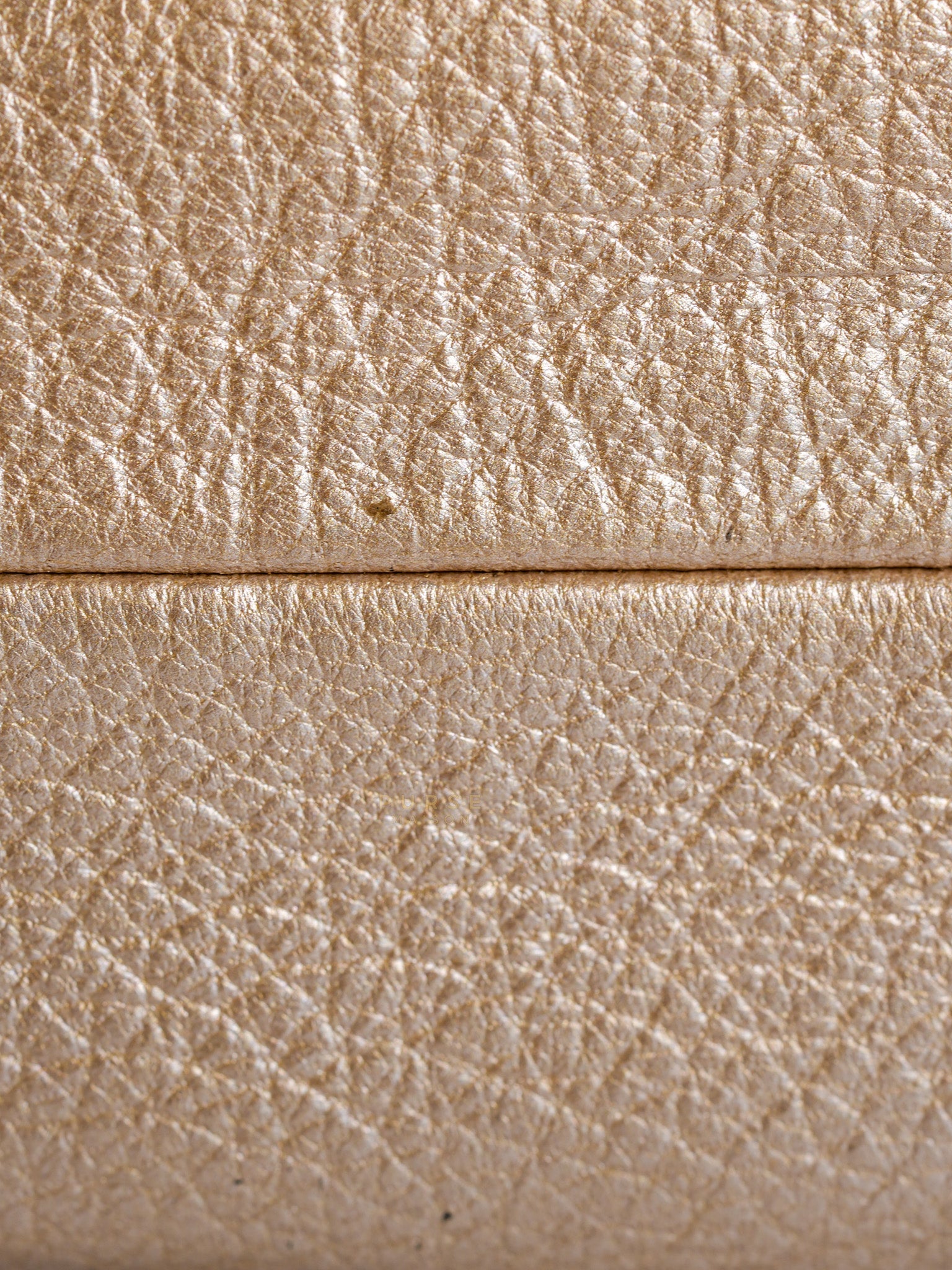 Cosmetic Case Metallic Goatskin Leather and Silver Hardware Series 11 | Purse Maison Luxury Bags Shop