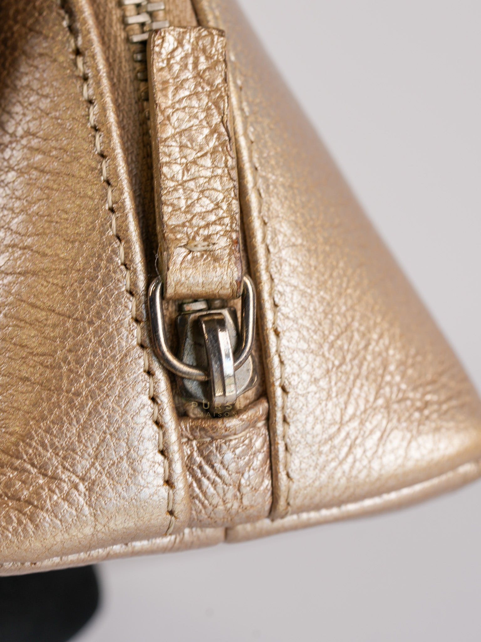 Cosmetic Case Metallic Goatskin Leather and Silver Hardware Series 11 | Purse Maison Luxury Bags Shop