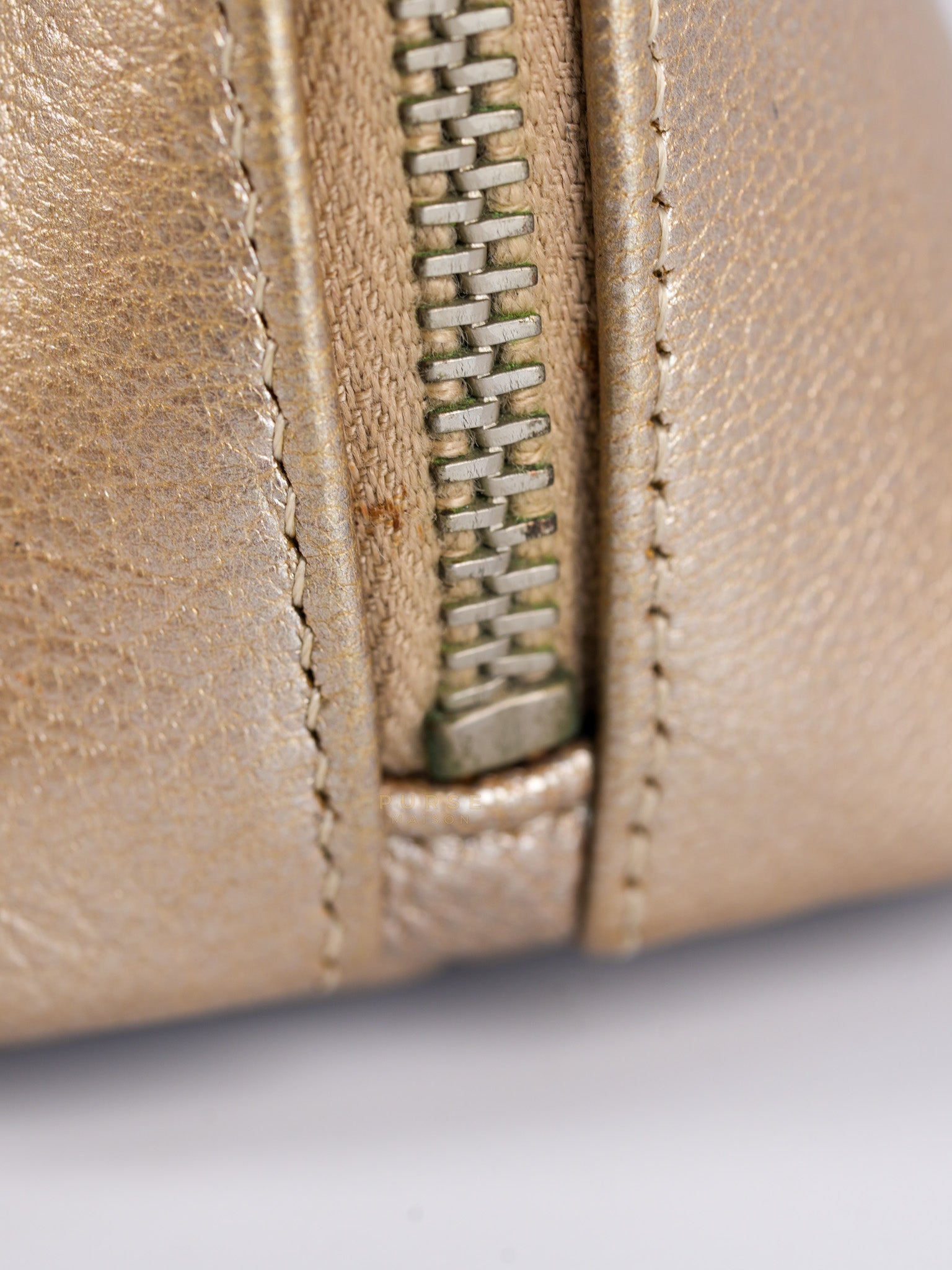Cosmetic Case Metallic Goatskin Leather and Silver Hardware Series 11 | Purse Maison Luxury Bags Shop