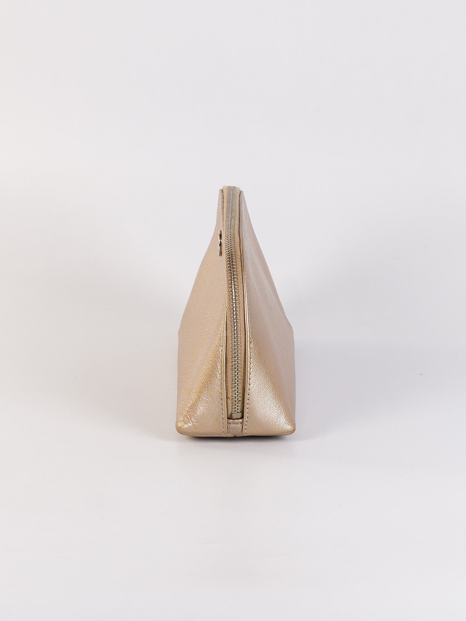 Cosmetic Case Metallic Goatskin Leather and Silver Hardware Series 11 | Purse Maison Luxury Bags Shop