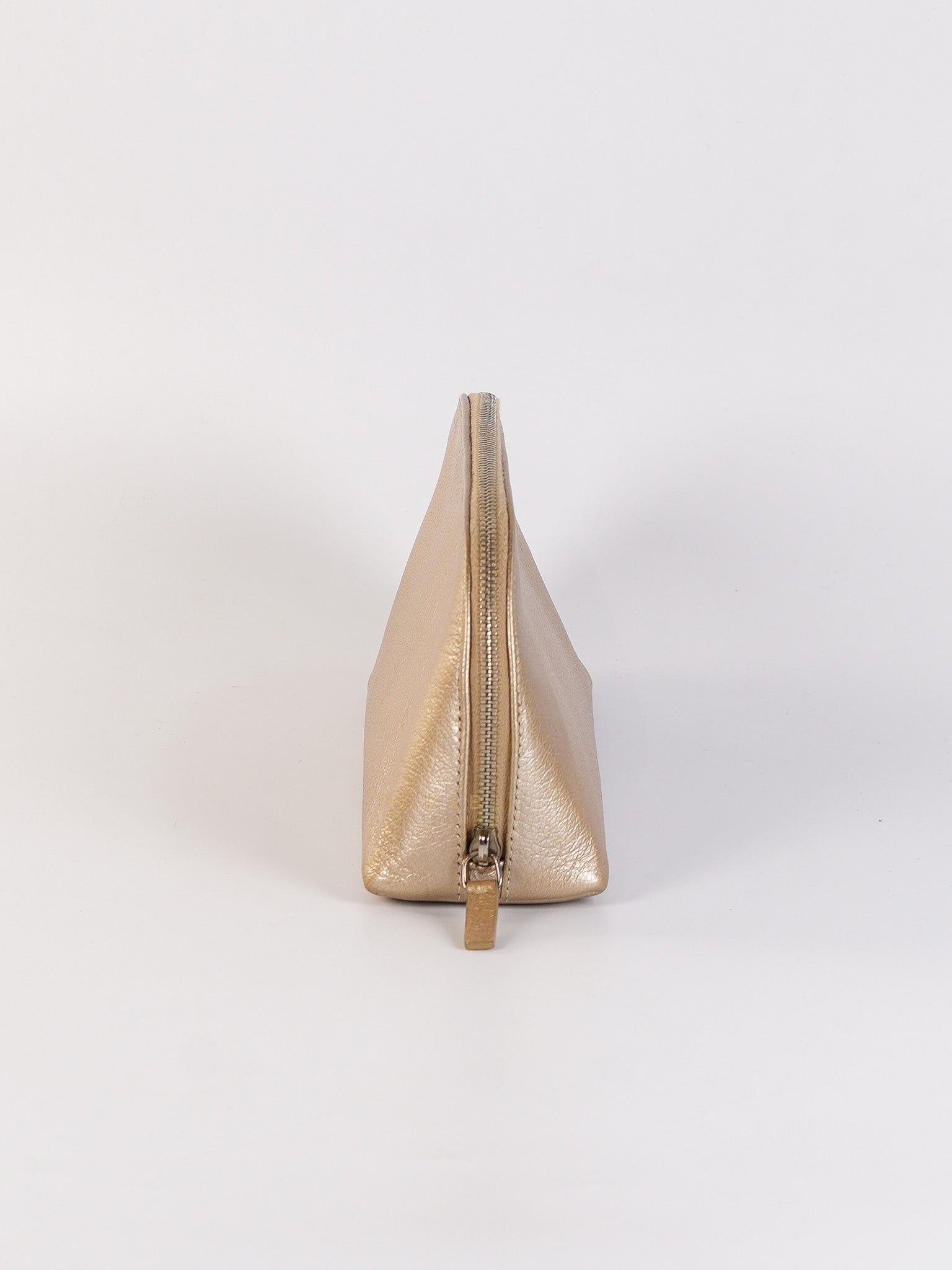 Cosmetic Case Metallic Goatskin Leather and Silver Hardware Series 11 | Purse Maison Luxury Bags Shop