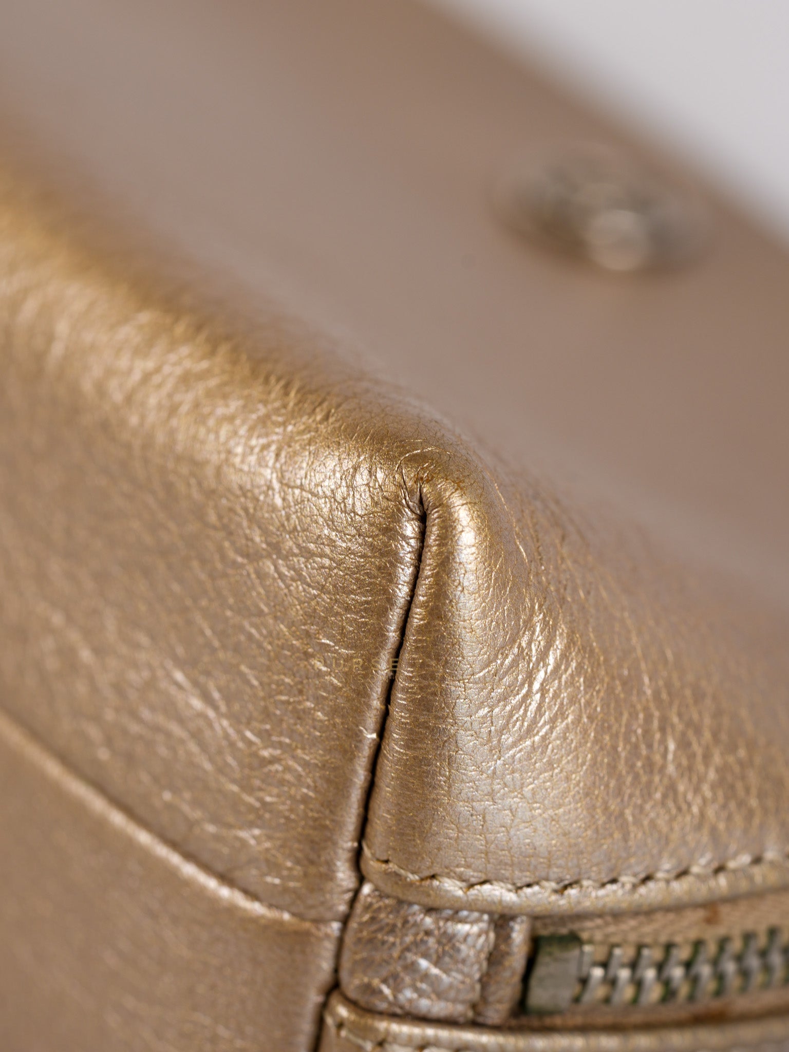 Cosmetic Case Metallic Goatskin Leather and Silver Hardware Series 11 | Purse Maison Luxury Bags Shop