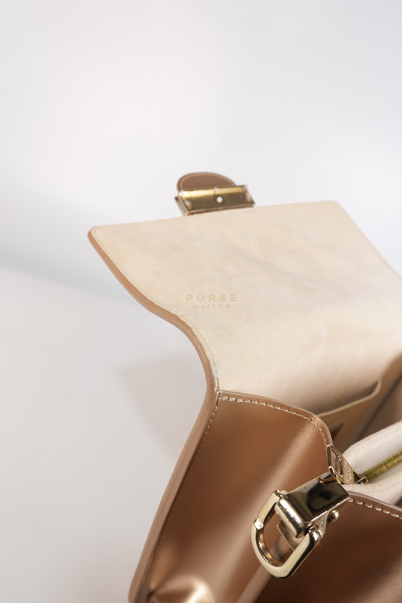 Dauphine PM in Metallic Gold Grained Calfskin Leather (Microchip) | Purse Maison Luxury Bags Shop