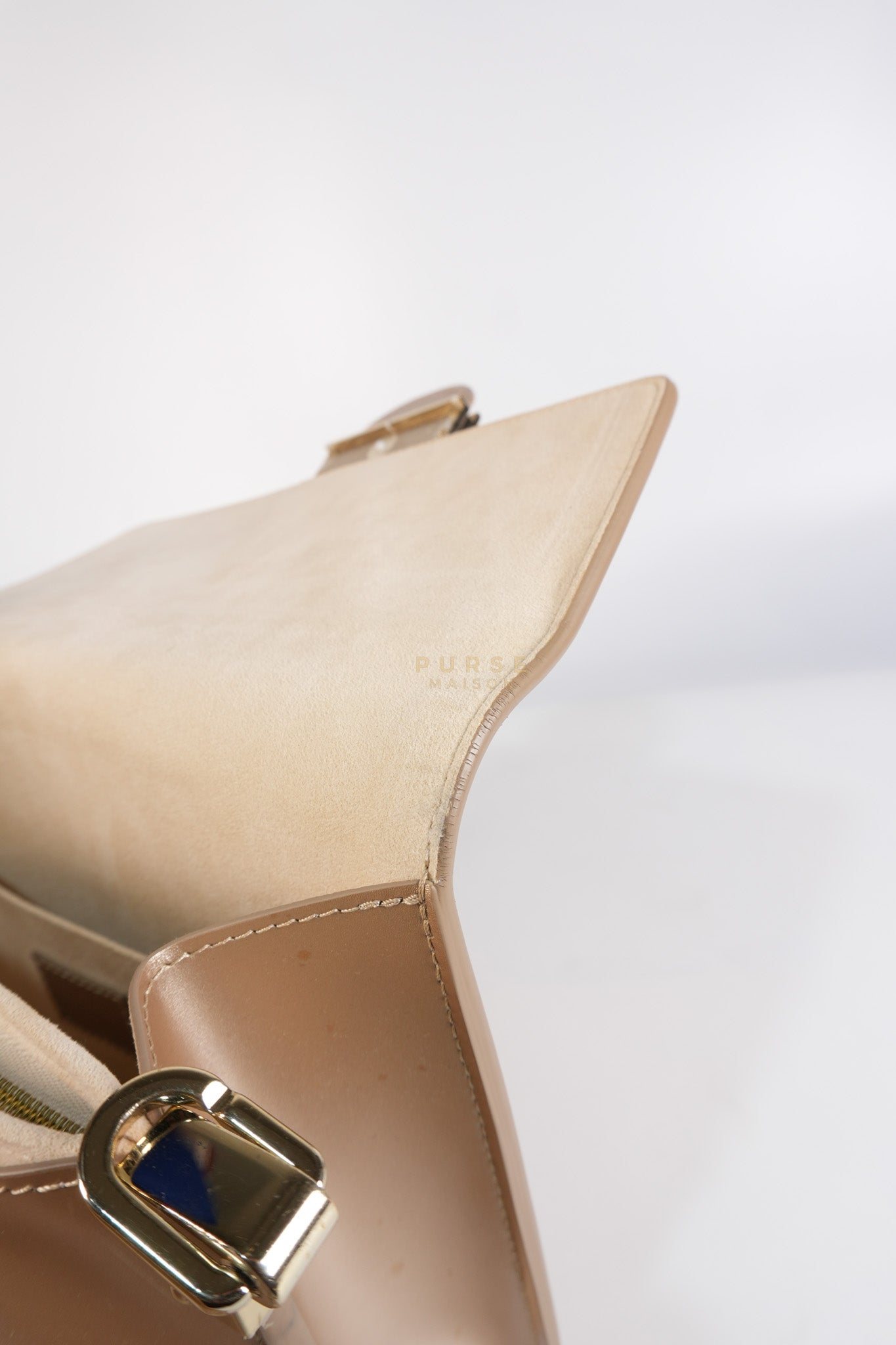 Dauphine PM in Metallic Gold Grained Calfskin Leather (Microchip) | Purse Maison Luxury Bags Shop