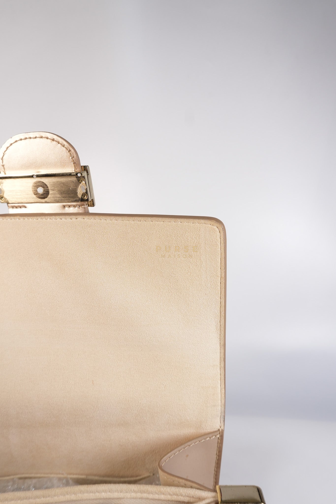 Dauphine PM in Metallic Gold Grained Calfskin Leather (Microchip) | Purse Maison Luxury Bags Shop
