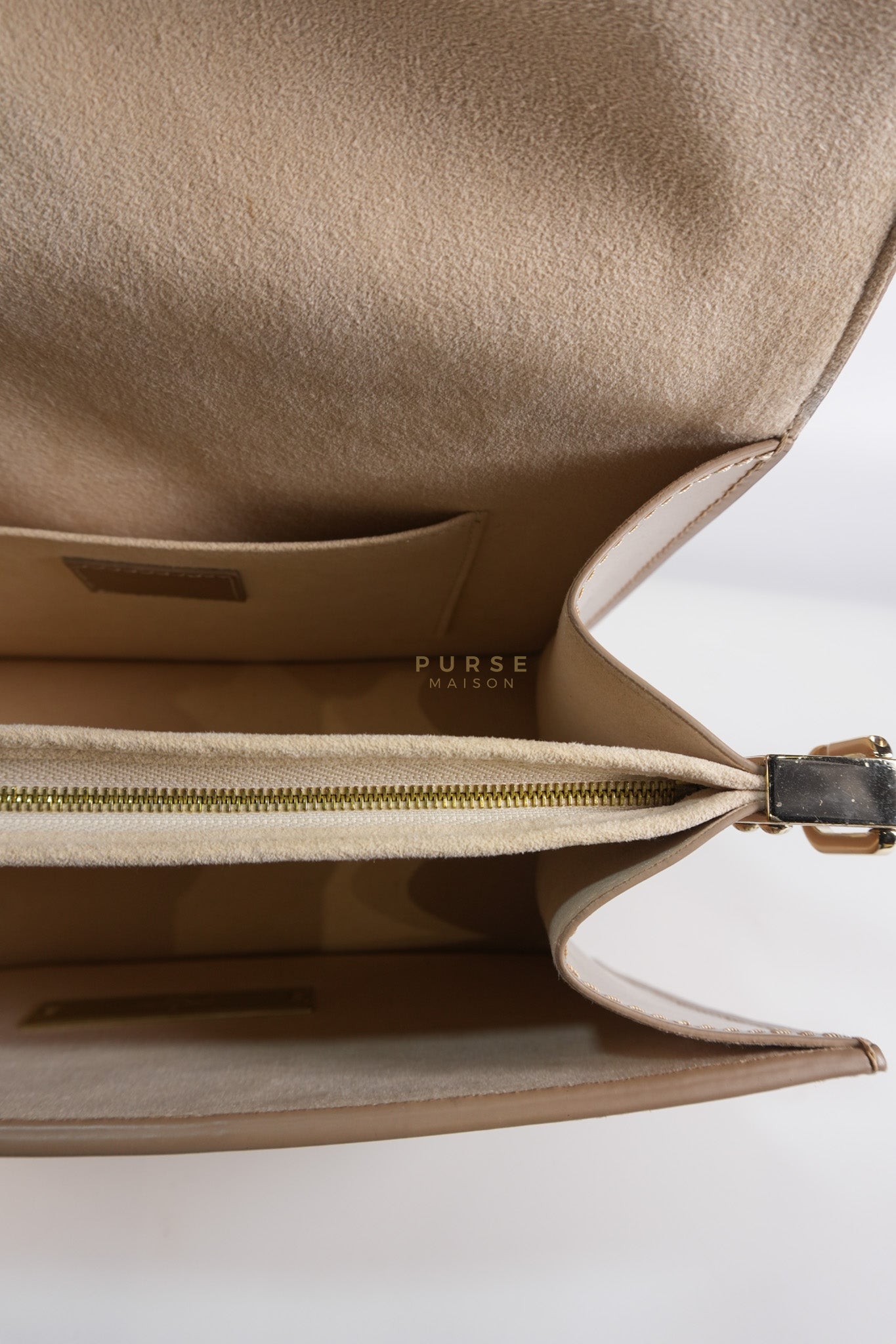 Dauphine PM in Metallic Gold Grained Calfskin Leather (Microchip) | Purse Maison Luxury Bags Shop