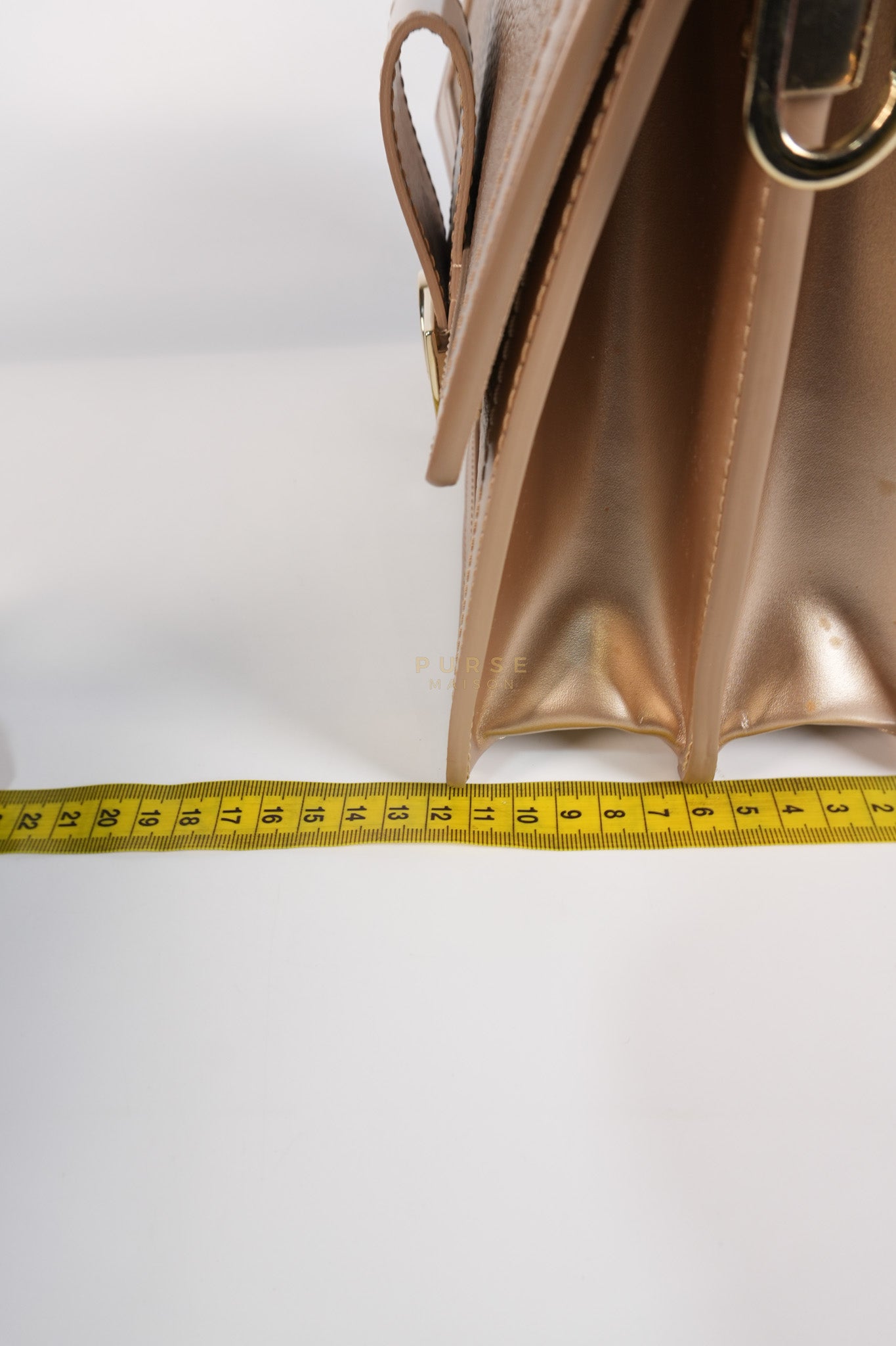 Dauphine PM in Metallic Gold Grained Calfskin Leather (Microchip) | Purse Maison Luxury Bags Shop