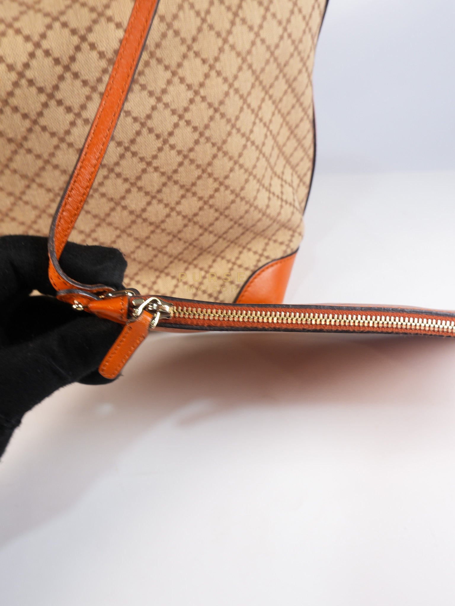 Diamante Plus Craft Tote Bag in Beige/Orange | Purse Maison Luxury Bags Shop