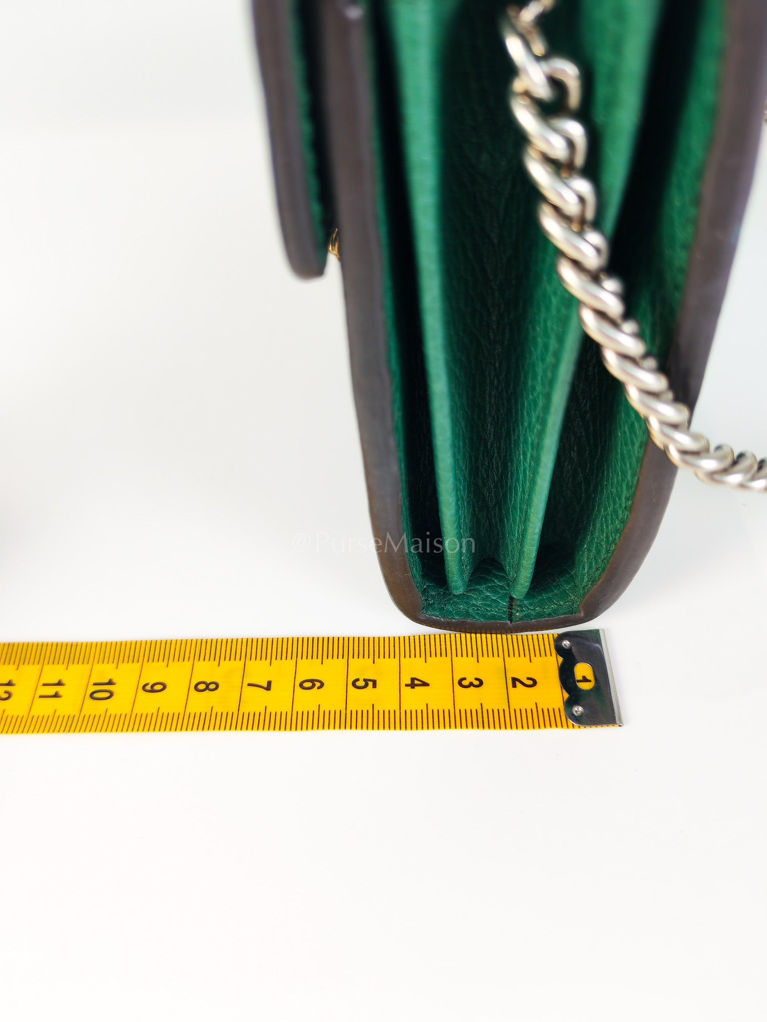 Dionysus Mini Chain Bag in Emerald Green Grained Leather Chain Bag | Purse Maison Luxury Bags Shop