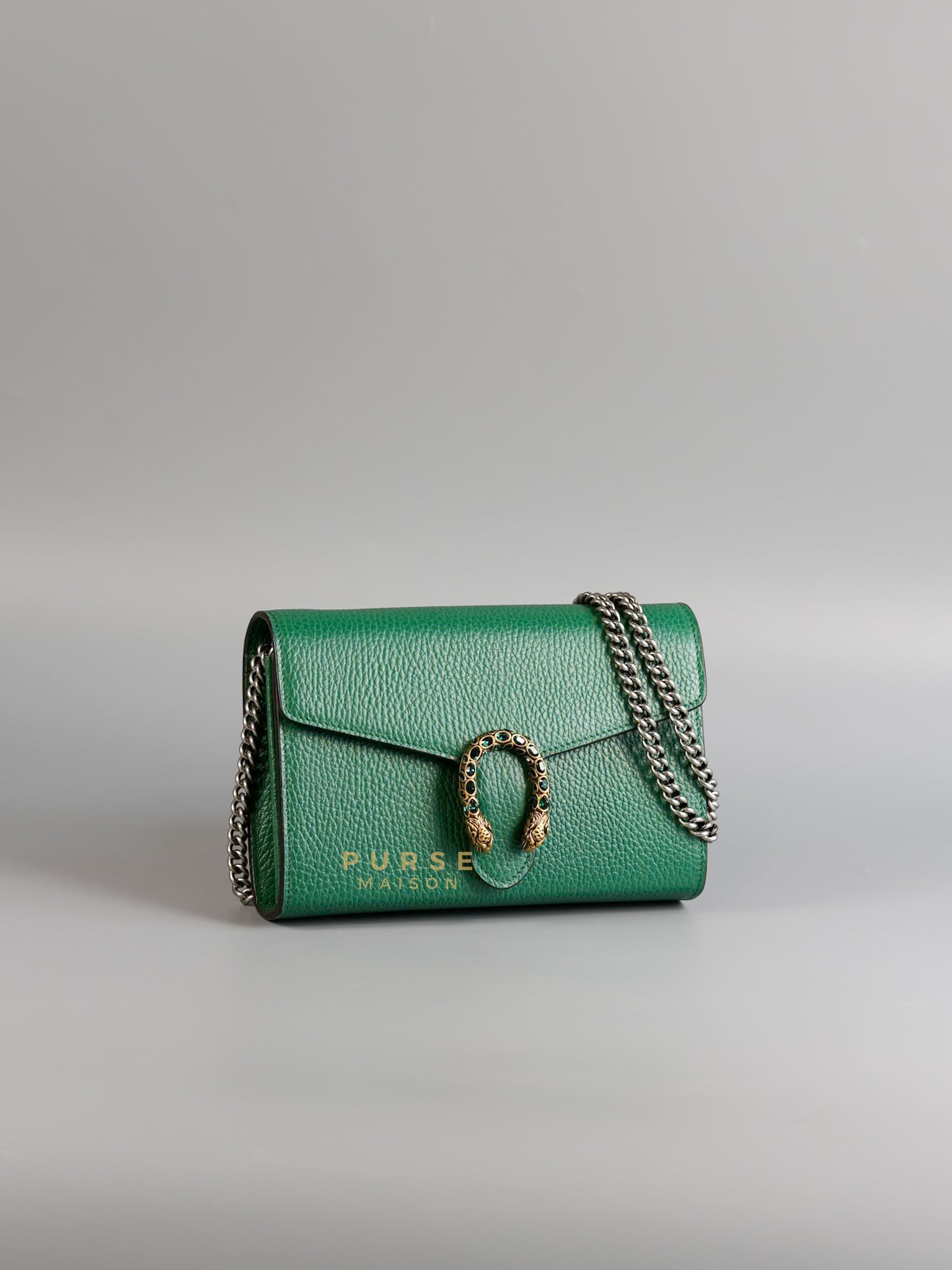 Dionysus leather mini chain bag green on sale