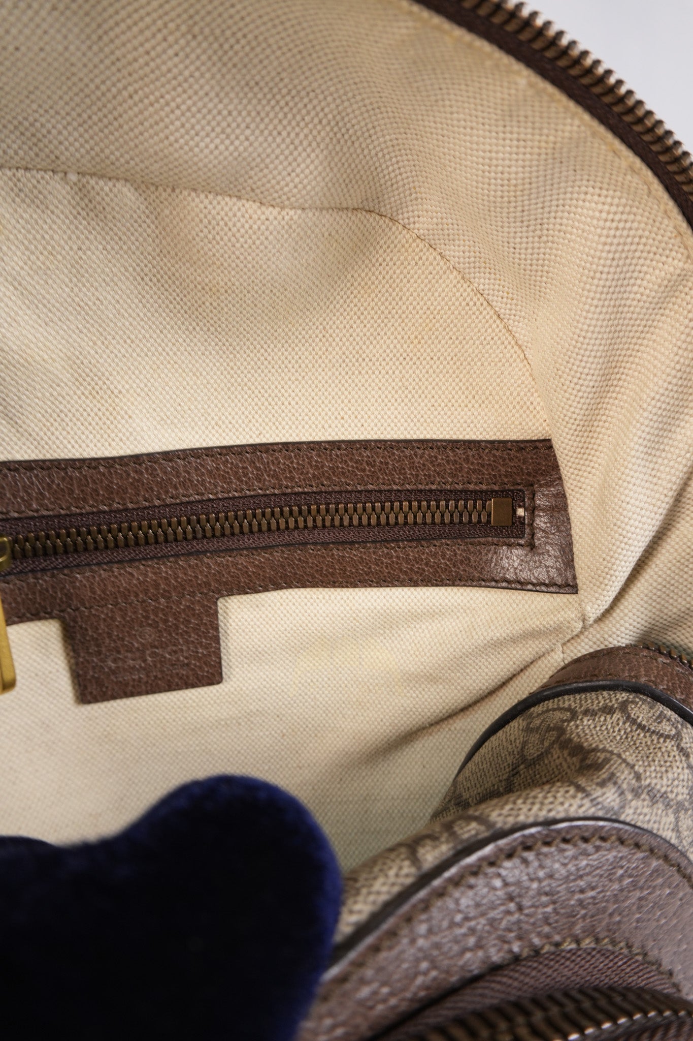 Eden Ophidia Supreme Canvas Backpack | Purse Maison Luxury Bags Shop