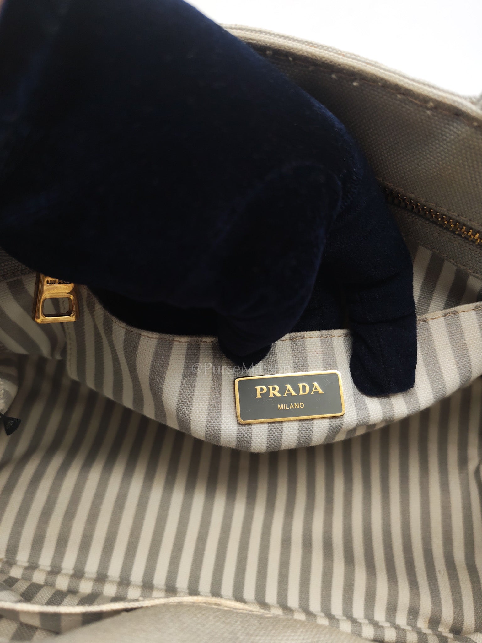 Canapa Canvas Small Tote Bag in Gray & Gold Hardware