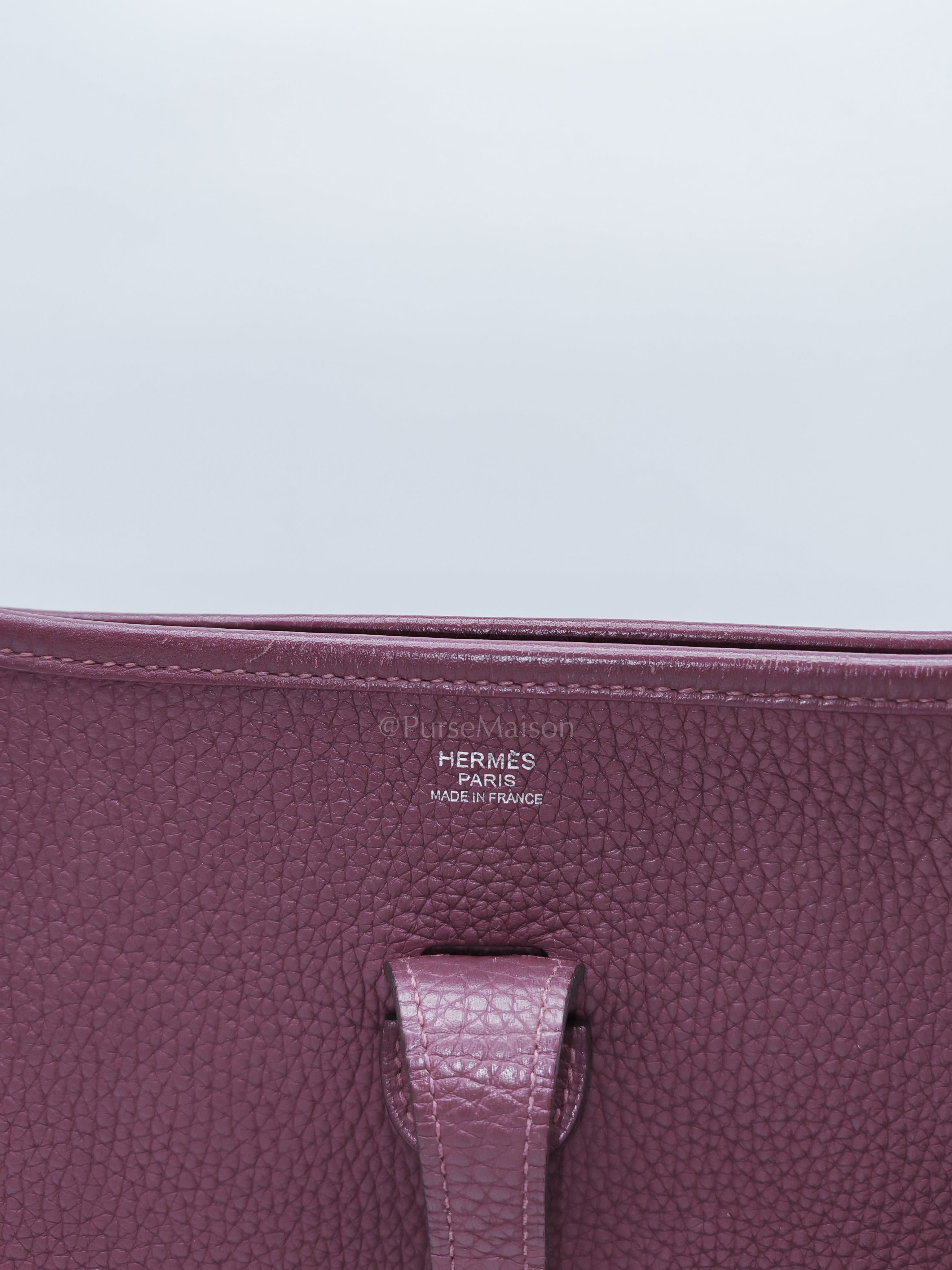 Evelyne PM in Anemone Taurillom Clemence Leather & Palladium Hardware Stamp Square R (2014) | Purse Maison Luxury Bags Shop