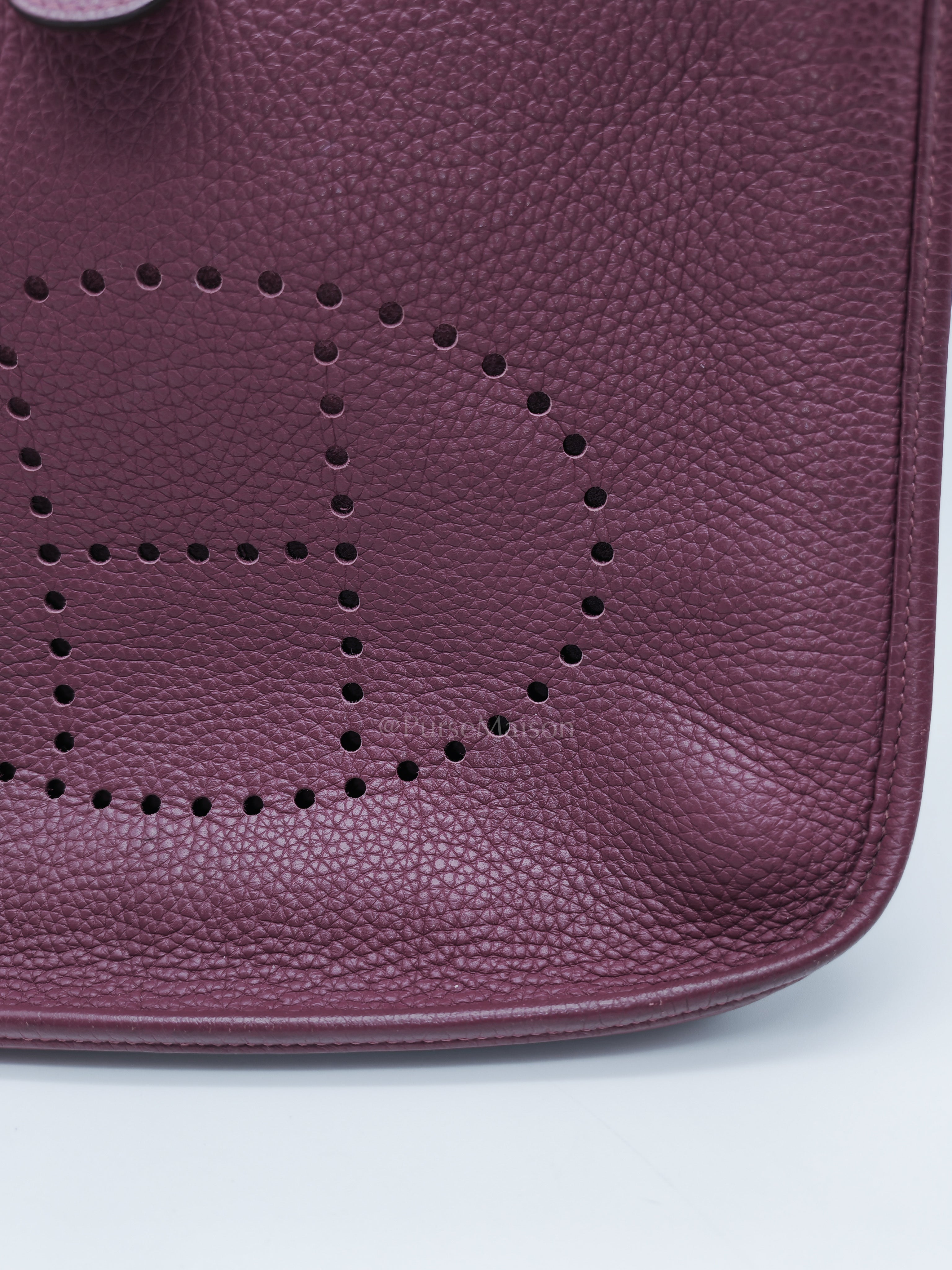 Evelyne PM in Anemone Taurillom Clemence Leather & Palladium Hardware Stamp Square R (2014) | Purse Maison Luxury Bags Shop