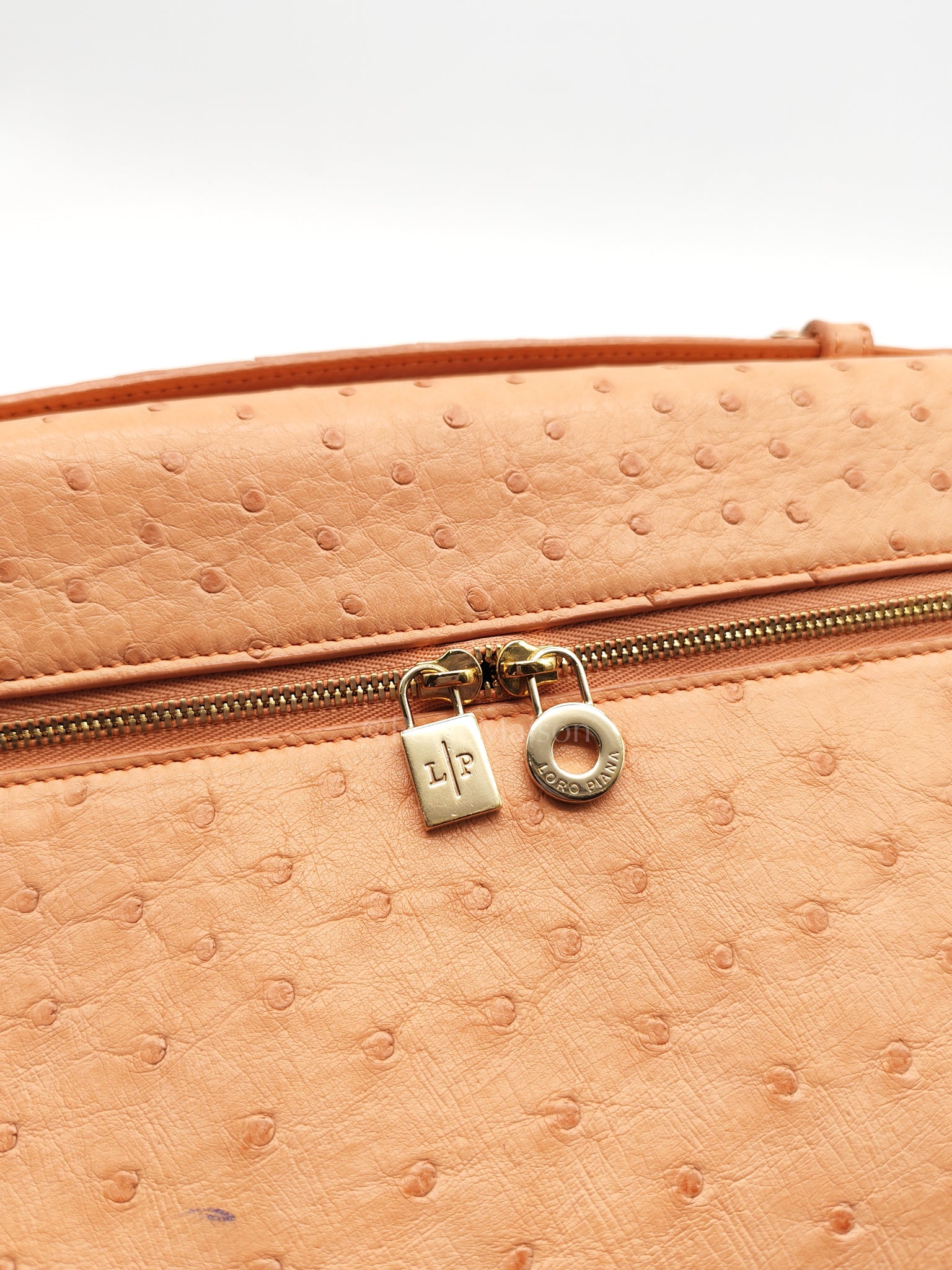 Extra Pocket L27 Pouch in Coral Pink Ostrich Leather & Gold Hardware | Purse Maison Luxury Bags Shop