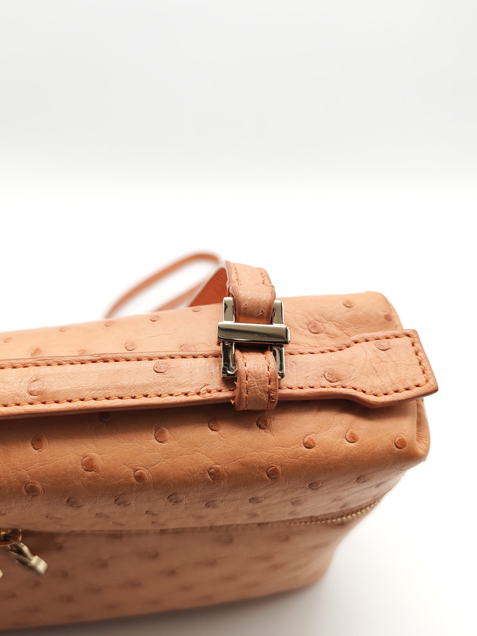 Extra Pocket L27 Pouch in Coral Pink Ostrich Leather & Gold Hardware | Purse Maison Luxury Bags Shop