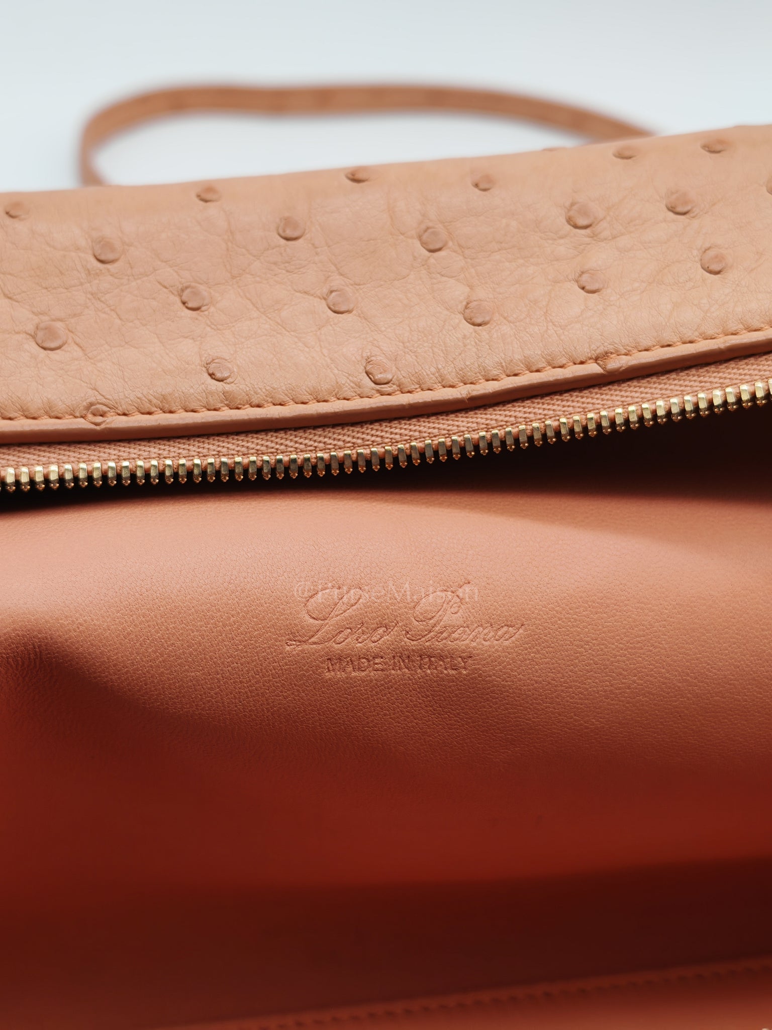 Extra Pocket L27 Pouch in Coral Pink Ostrich Leather & Gold Hardware | Purse Maison Luxury Bags Shop