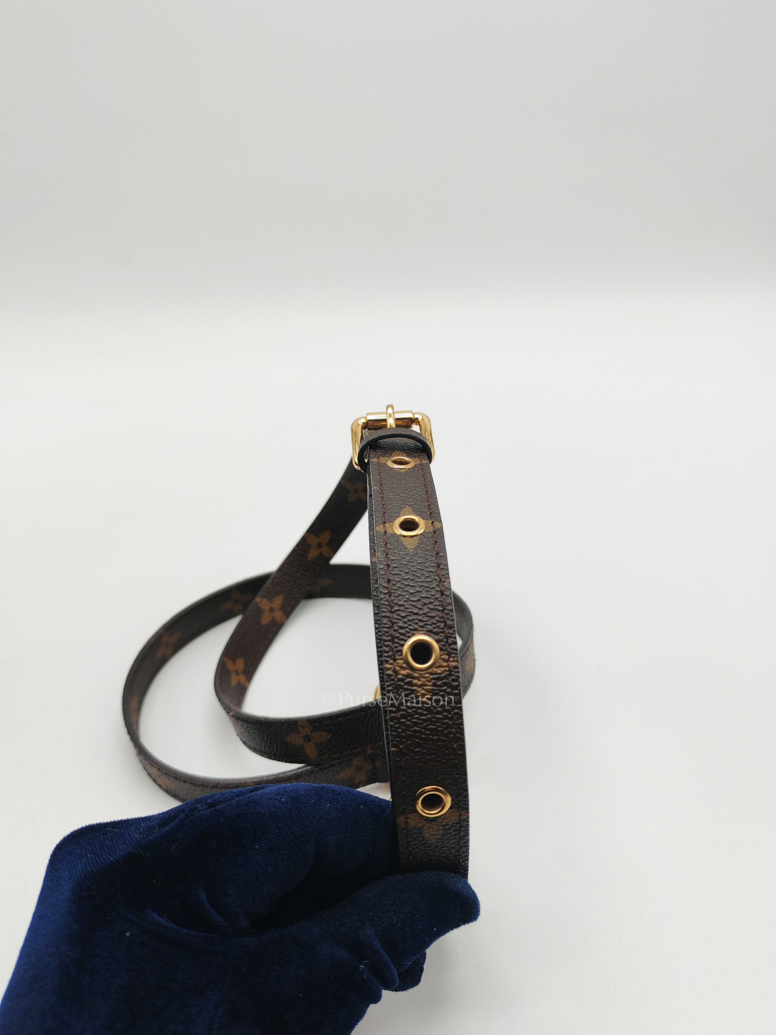 Pochette Metis in Monogram Canvas and Gold Hardware (Datecode: SR0138)