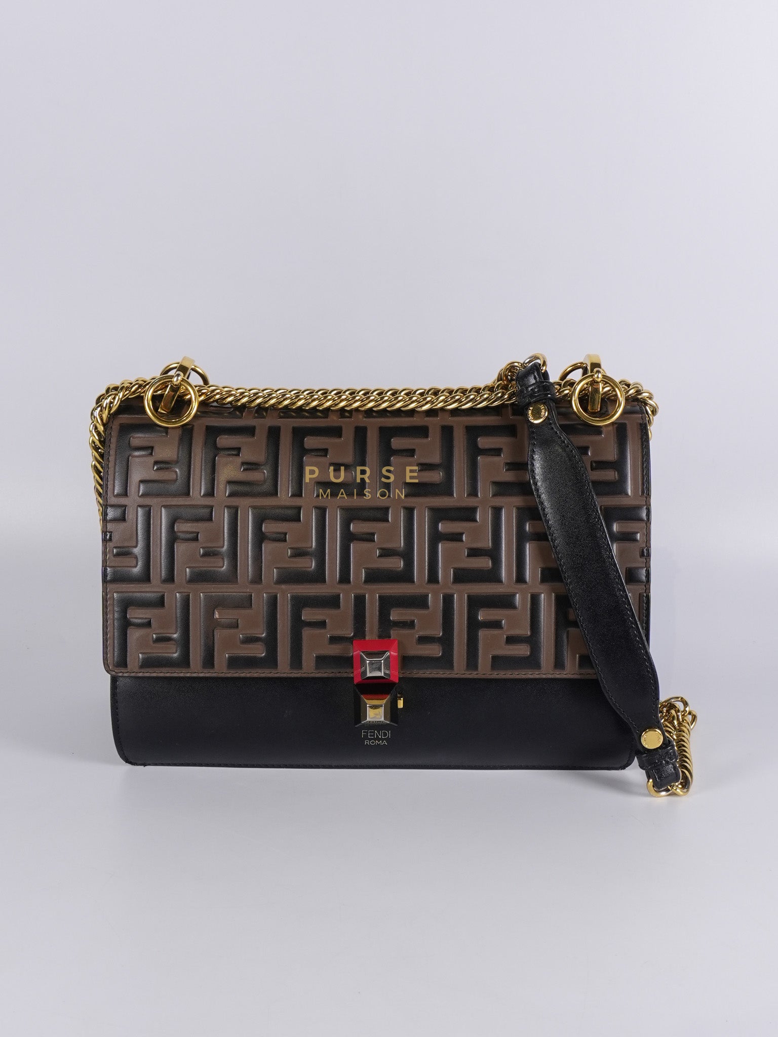 Vitello Liberty Bicolor and Gold Hardware | Purse Maison Luxury Bags Shop