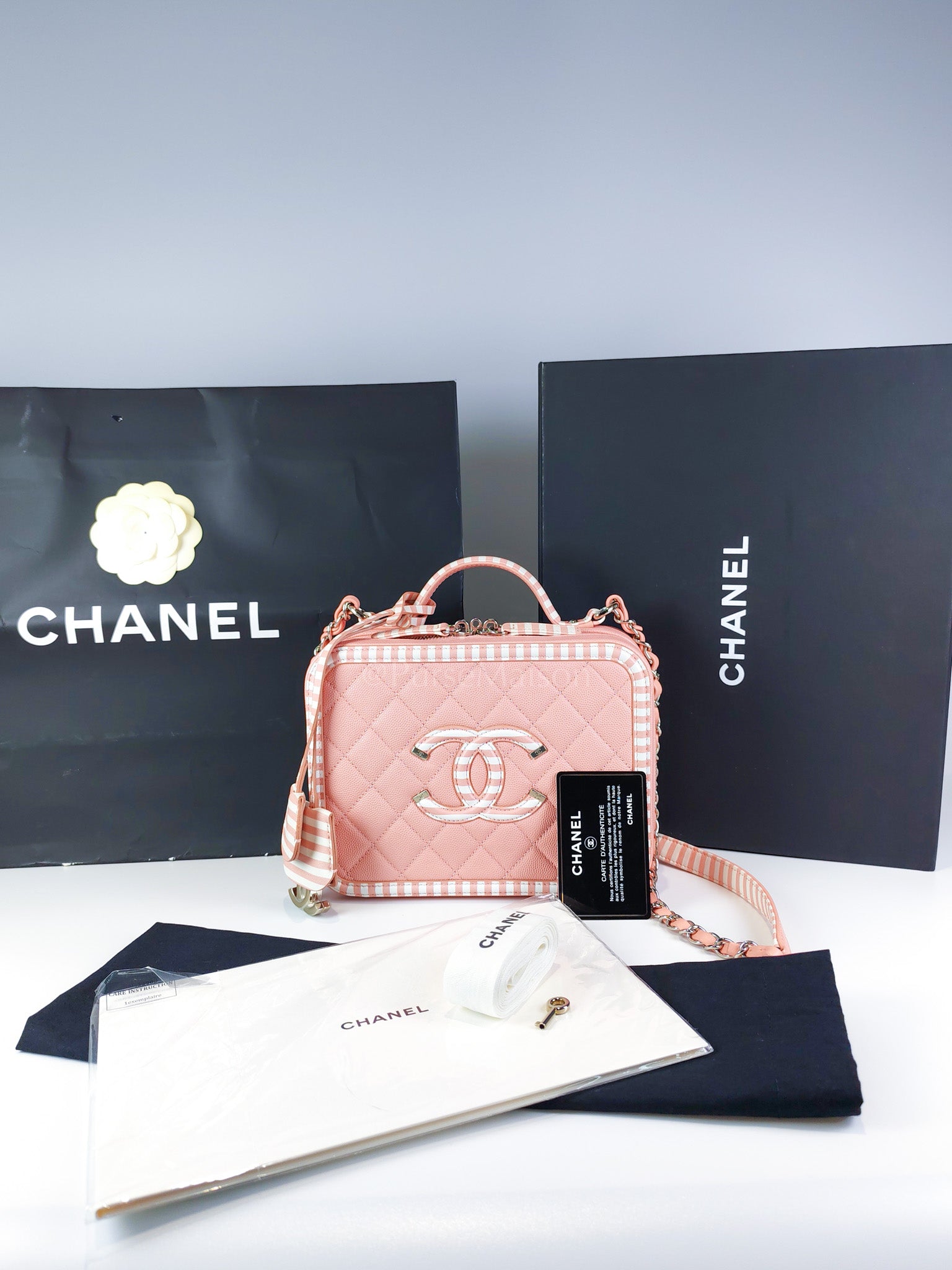 Filigree Vanity Case in Medium Pink Caviar Leather and Silver Hardware Series 26 | Purse Maison Luxury Bags Shop