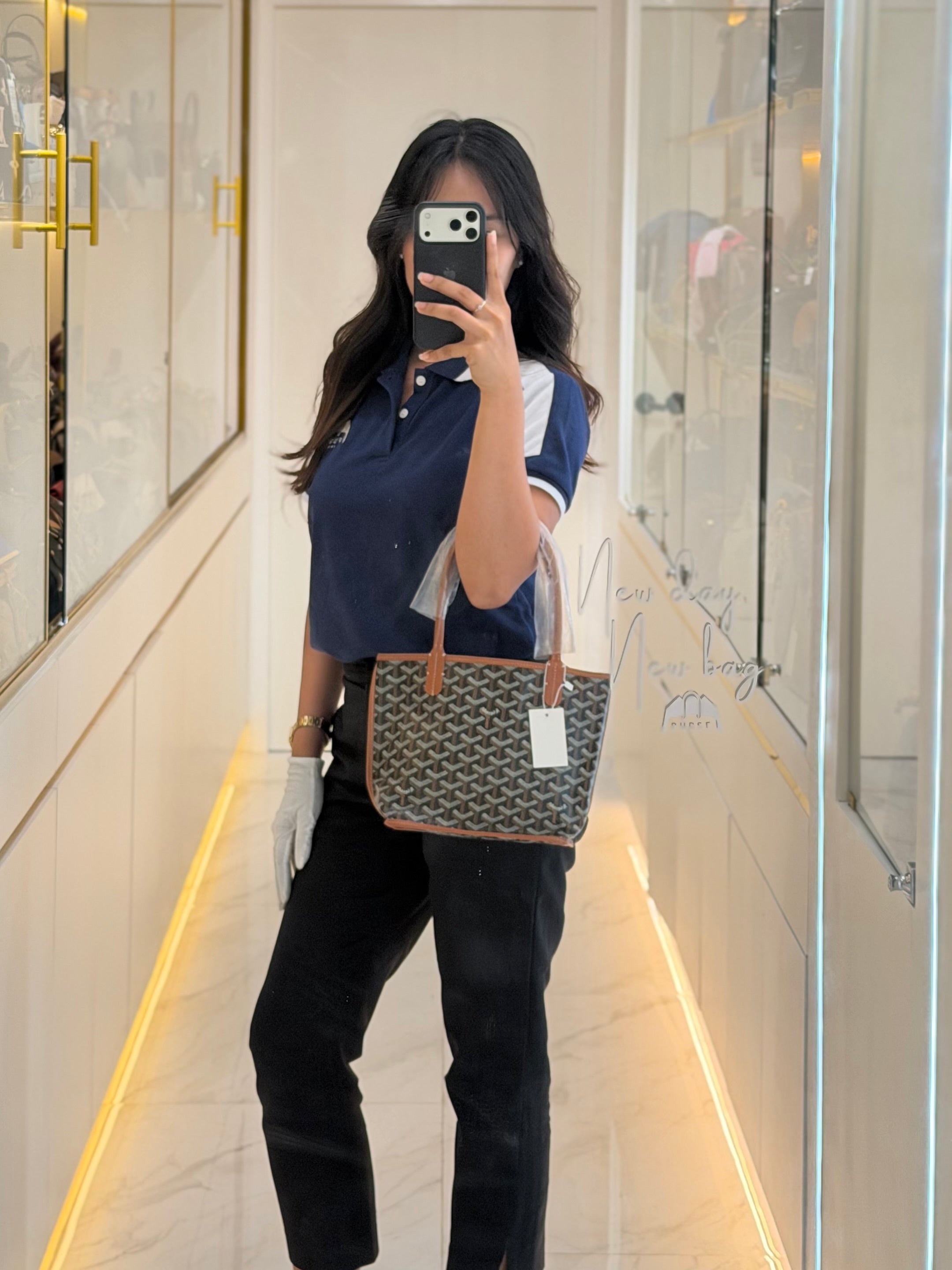 Mini Anjou in Tan Goyardine Canvas Tote Bag | Purse Maison Luxury Bags Shop