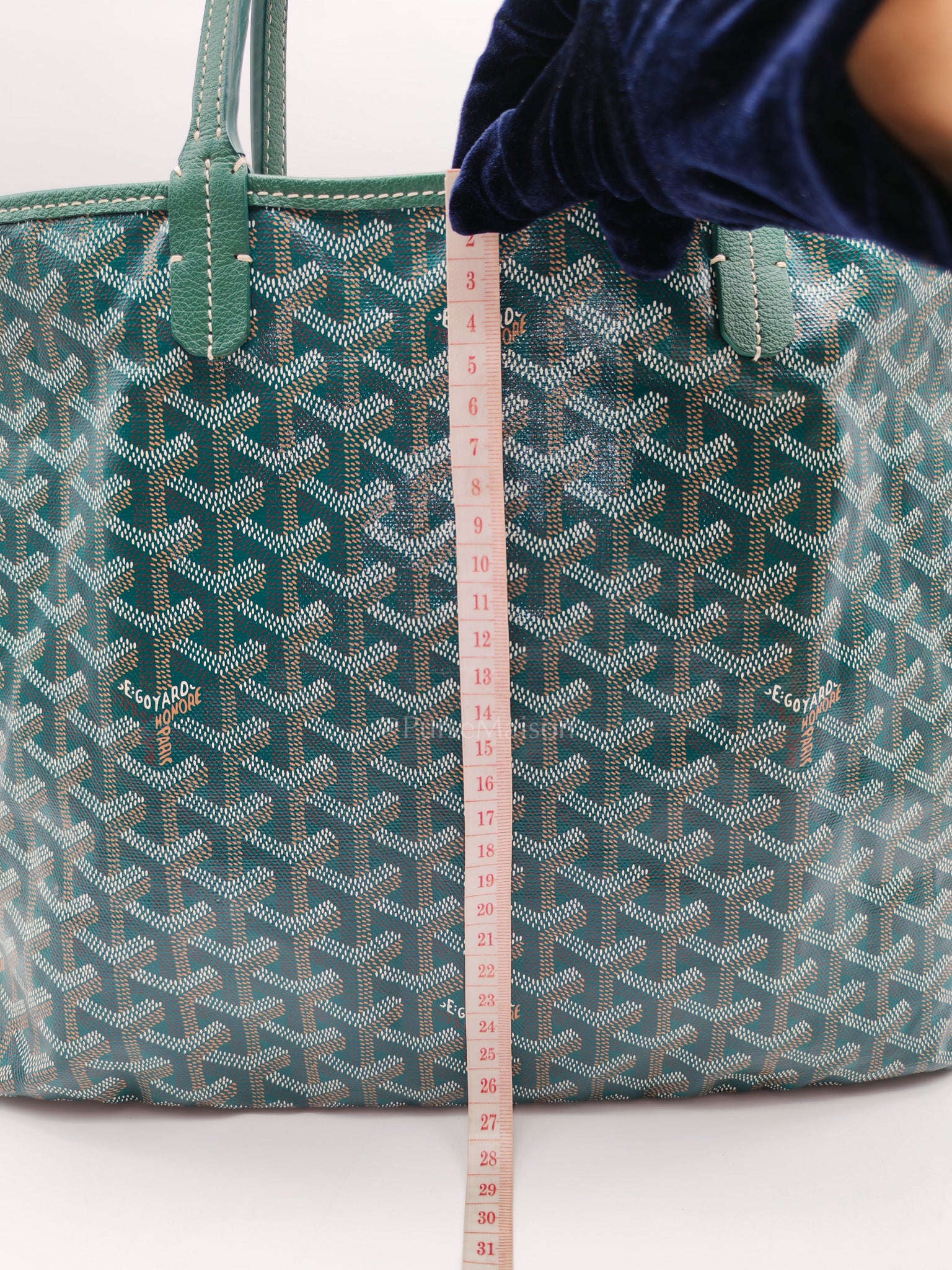 Saint Louis PM in Green Goyardine Canvas | Purse Maison Luxury Bags Shop