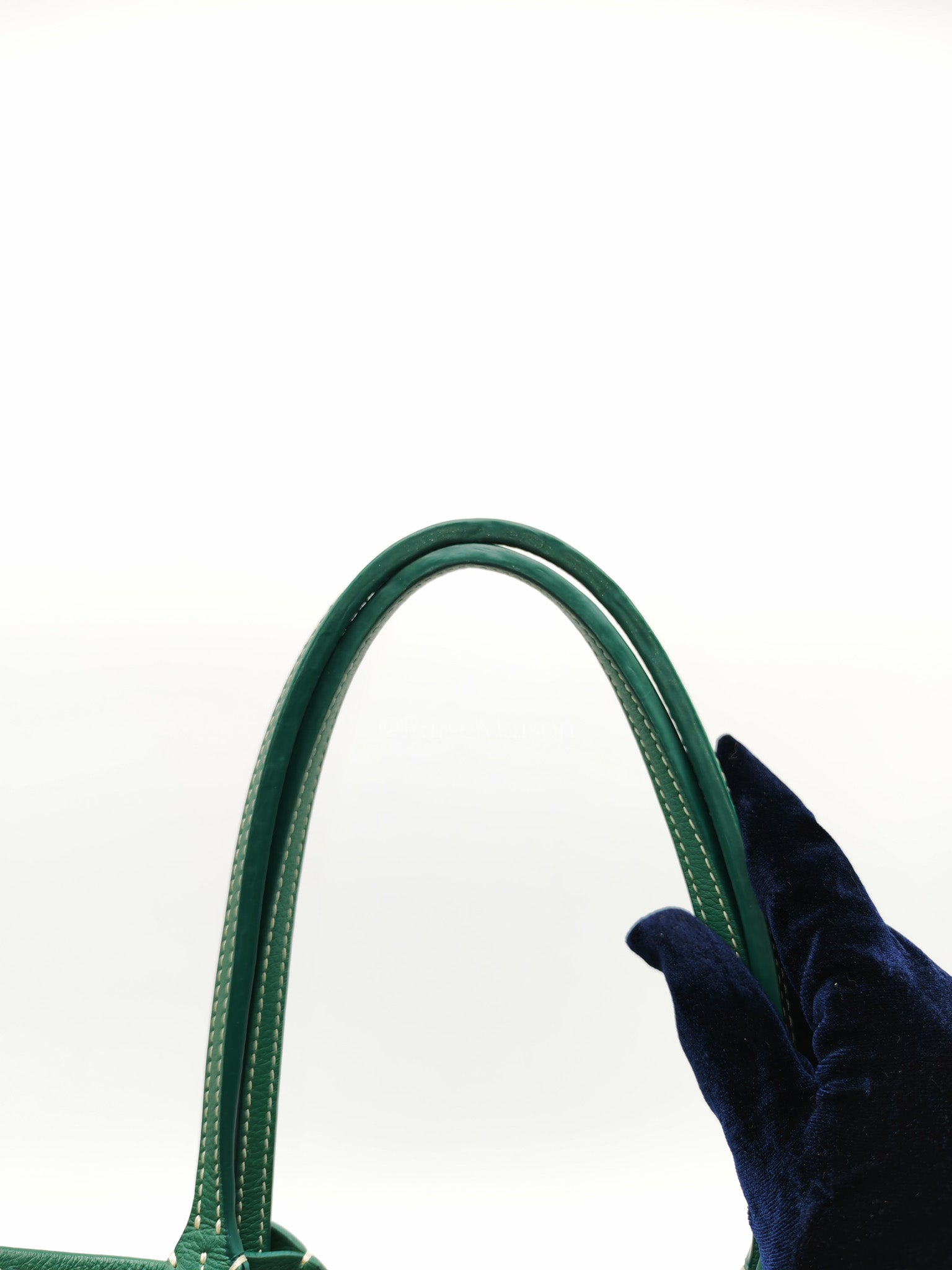 Saint Louis PM in Green Goyardine Canvas