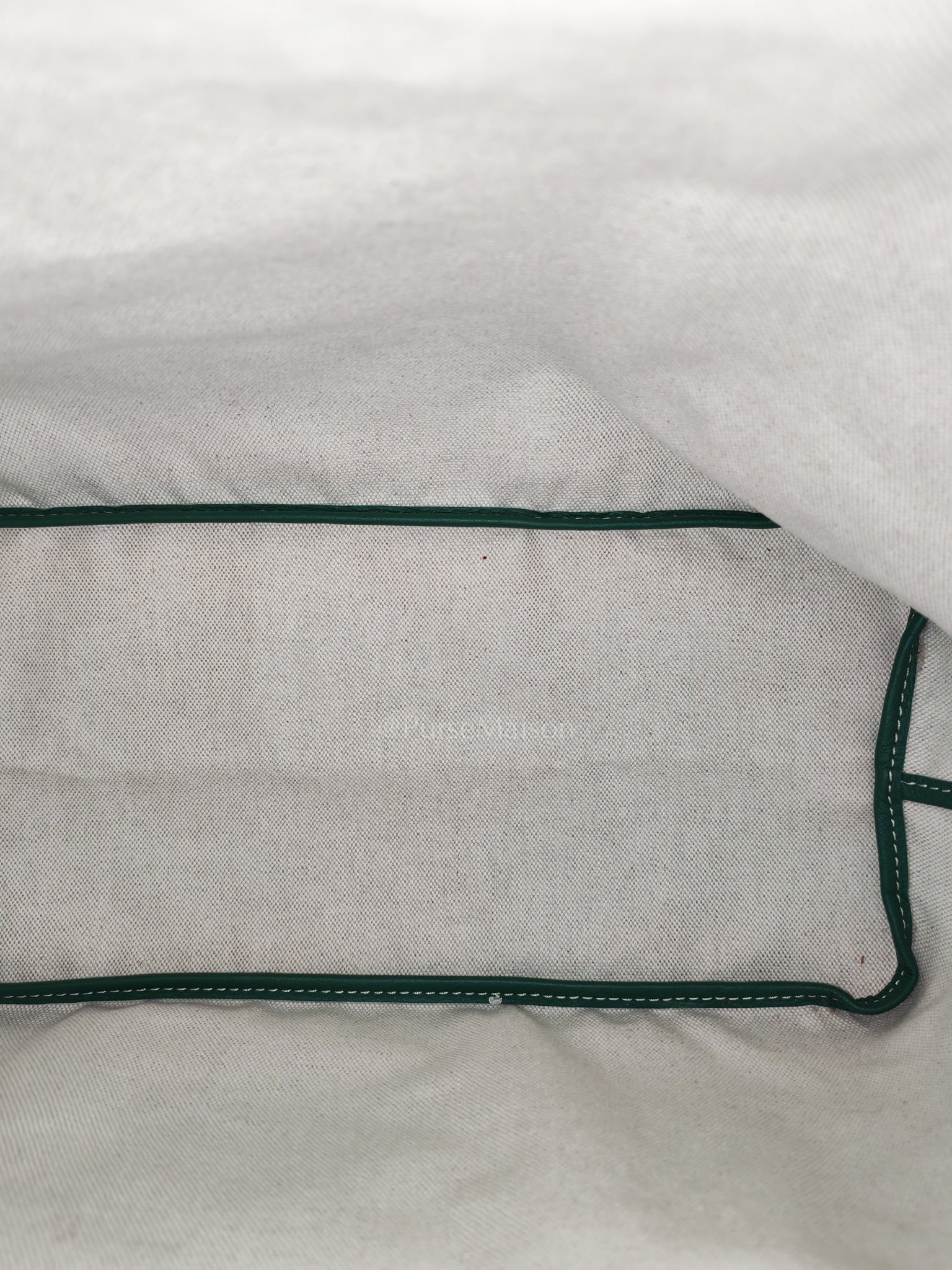 Saint Louis PM in Green Goyardine Canvas