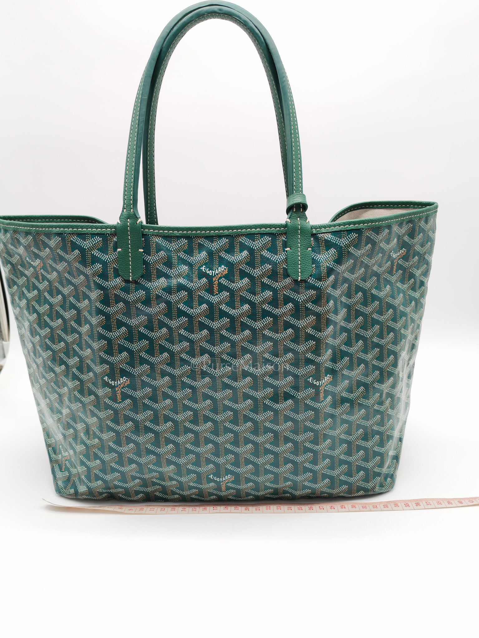 Saint Louis PM in Green Goyardine Canvas