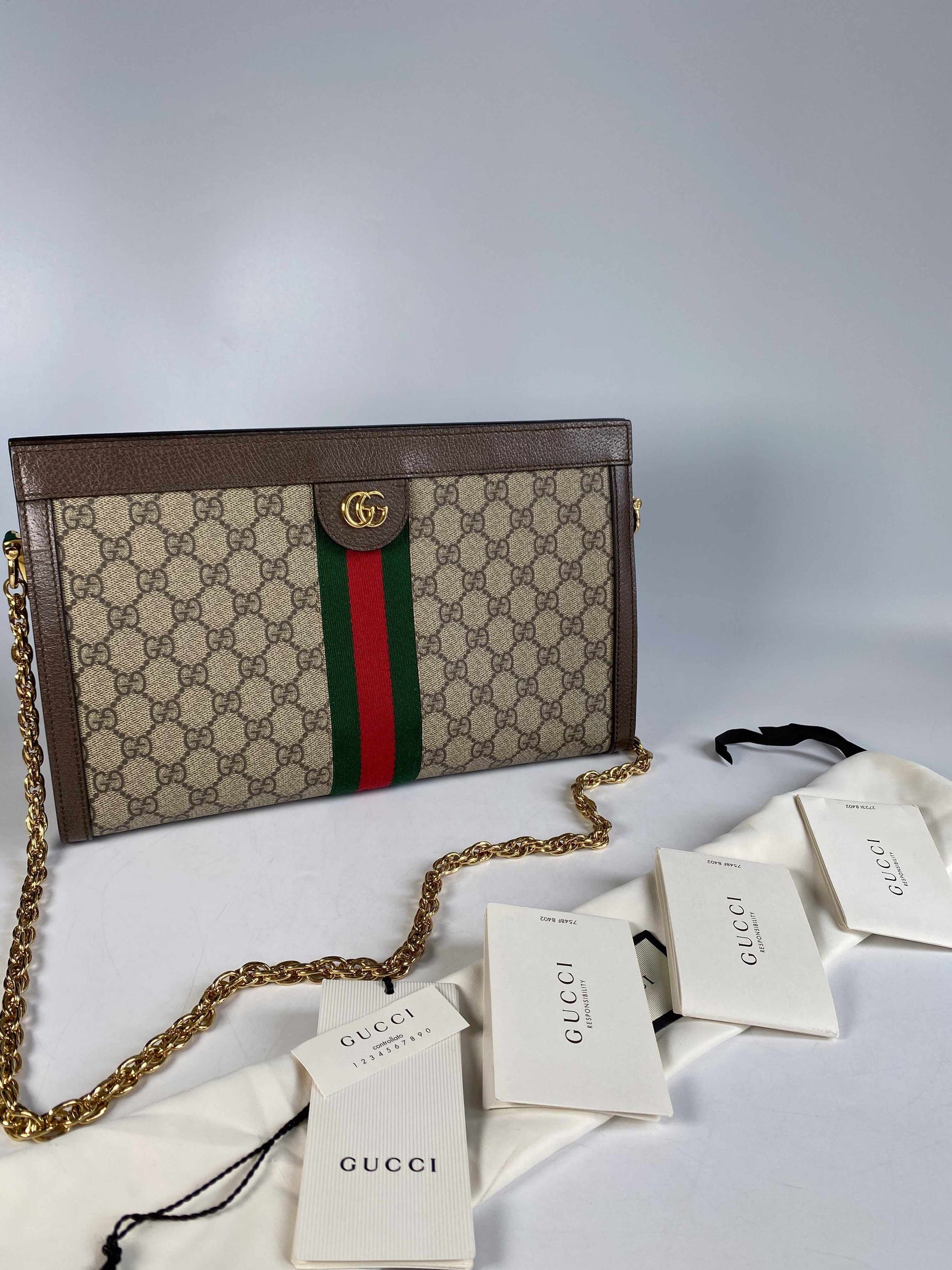 Gucci GG Supreme Monogram Web Ophidia Chain Shoulder Bag | Purse Maison Luxury Bags Shop
