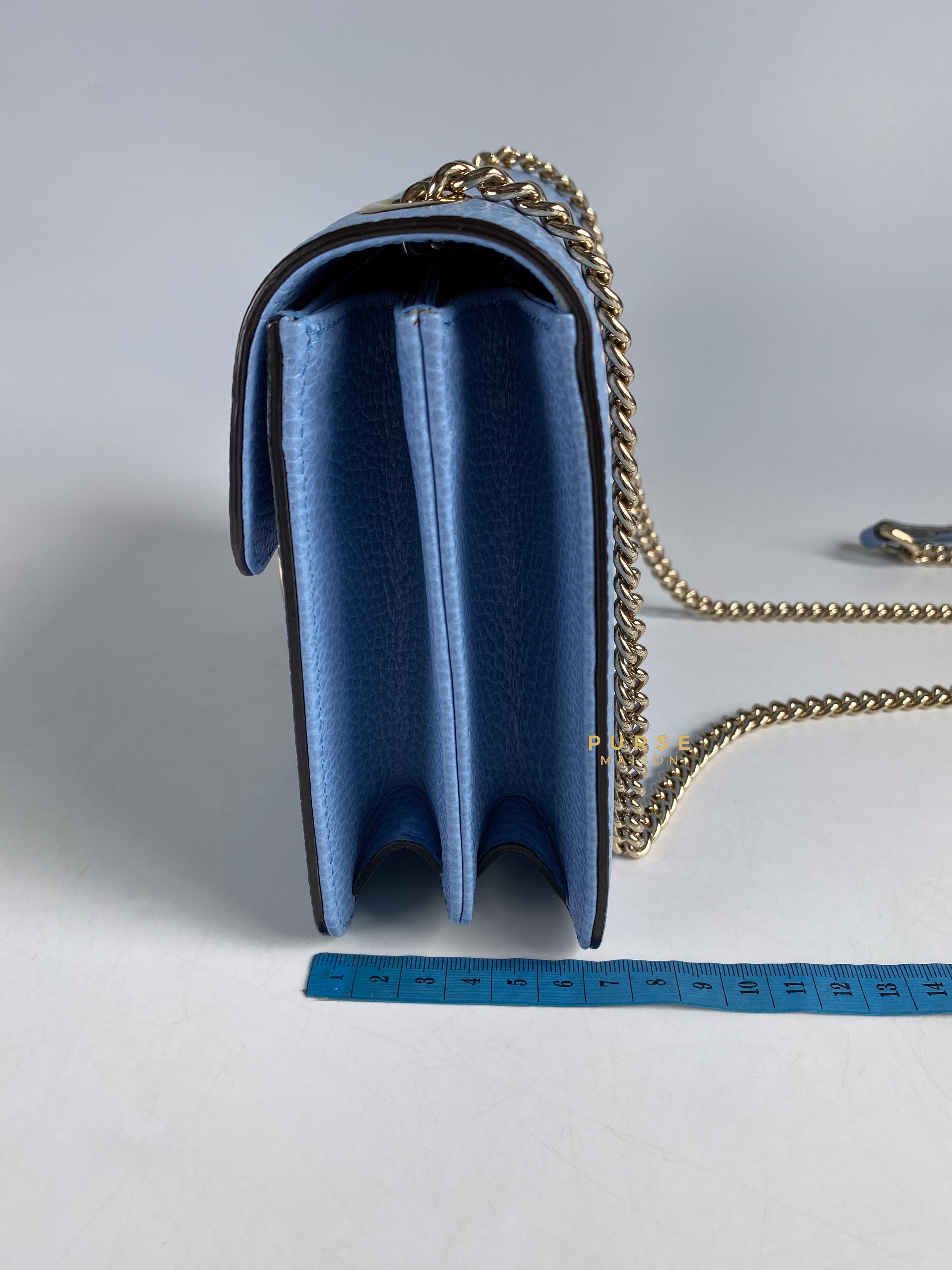 Blue hotsell chain bag