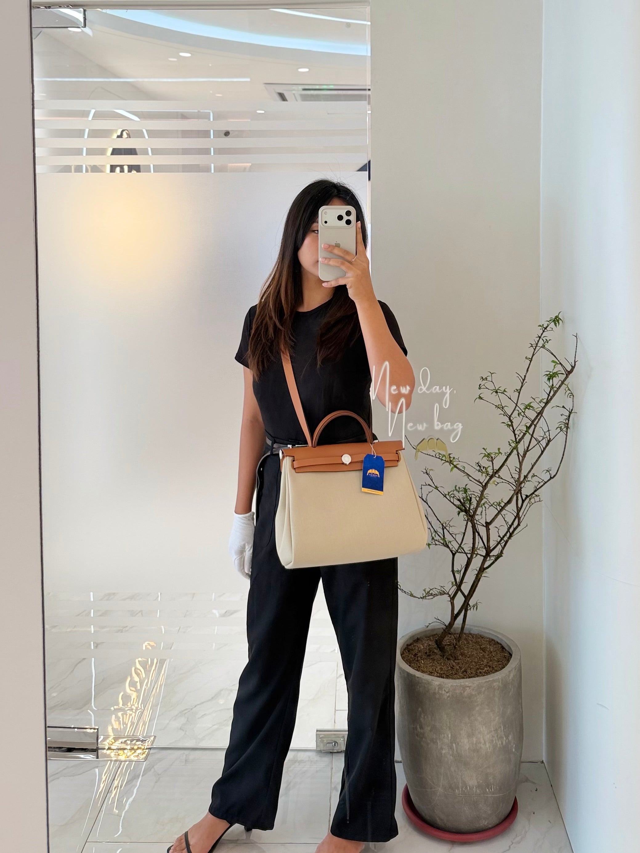 Herbag Zip 31 in Natural Vache and Beton Toile Canvas Palladium Hardware Stamp W(2024) | Purse Maison Luxury Bags Shop