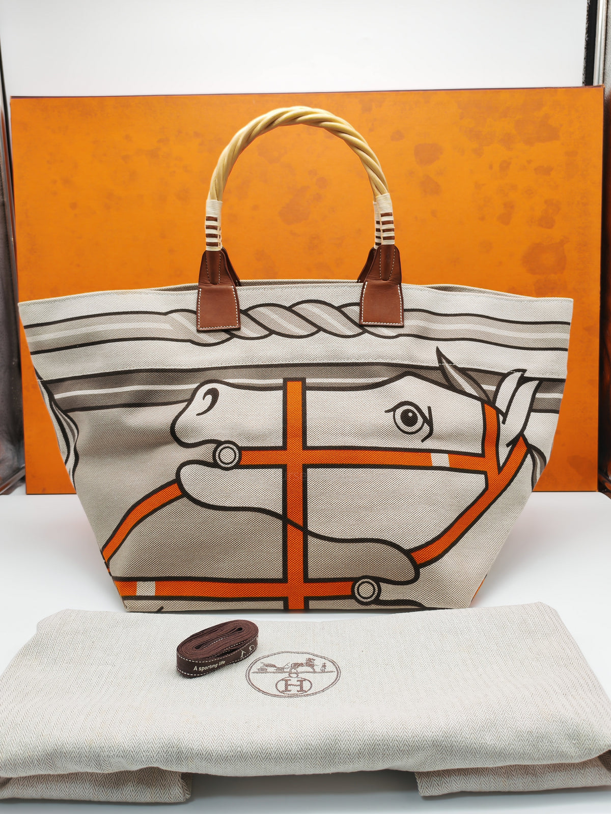 Hermès 31 Ecru Fauves Handbag Tote Bag in Light Beige Multicolor Toile H Canvas Stamp Square O (2011)) | Purse Maison Luxury Bags Shop