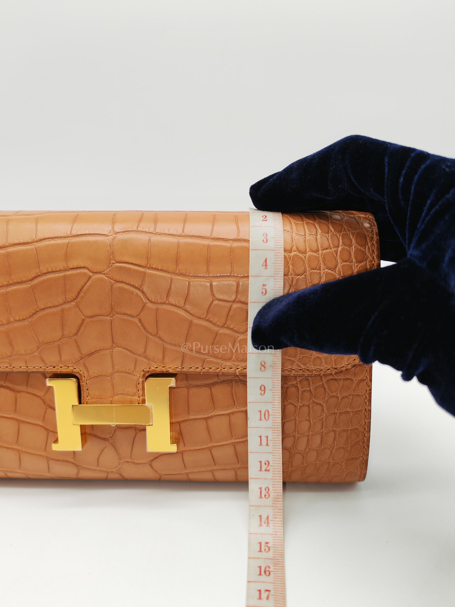 Constance To Go in Gold Matte Aligator Leather Gold Hardware Stamp Z(2021)