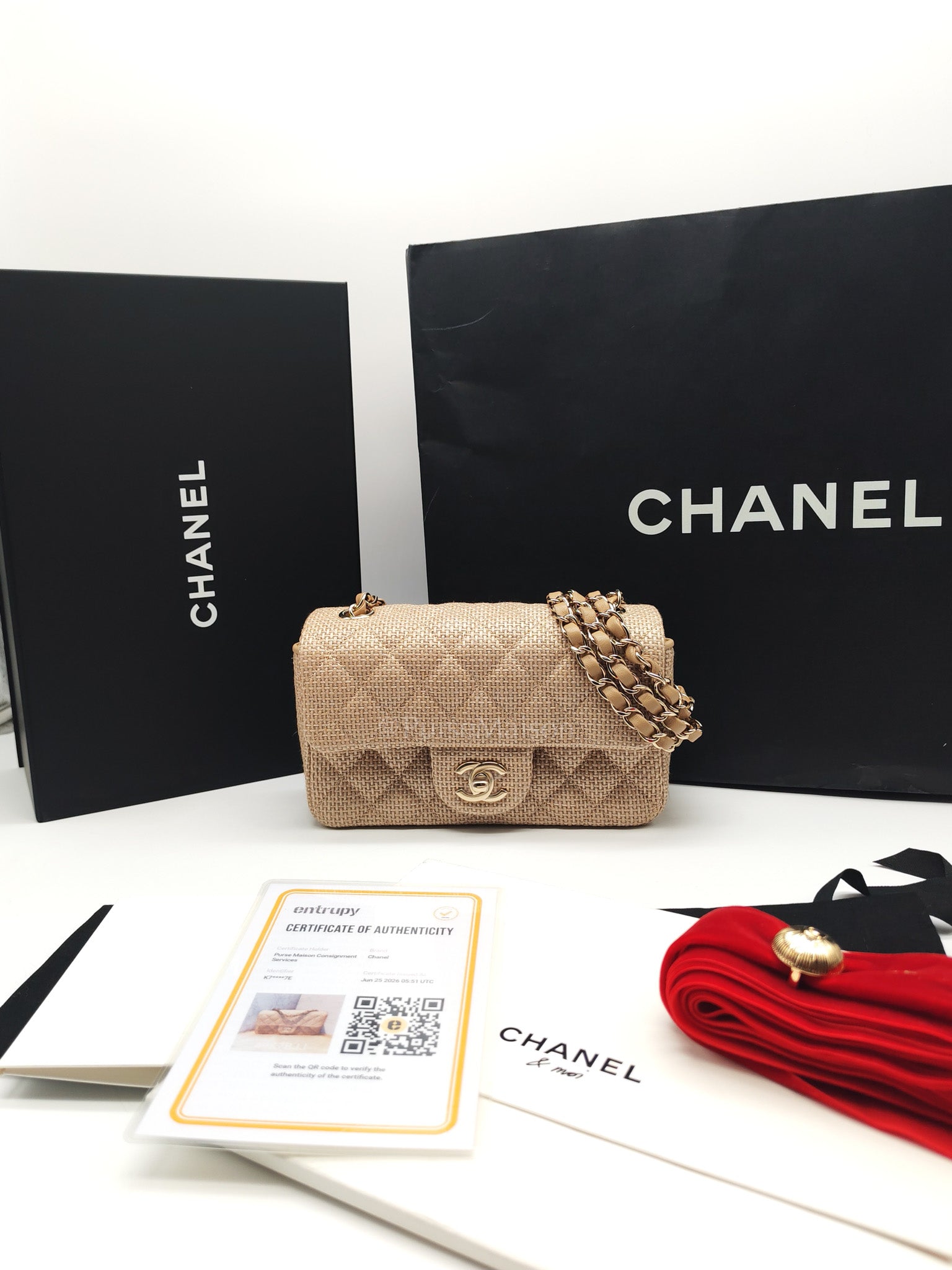 Mini Flap Bag in Dark Beige Raffia & Light Gold Hardware Microchip