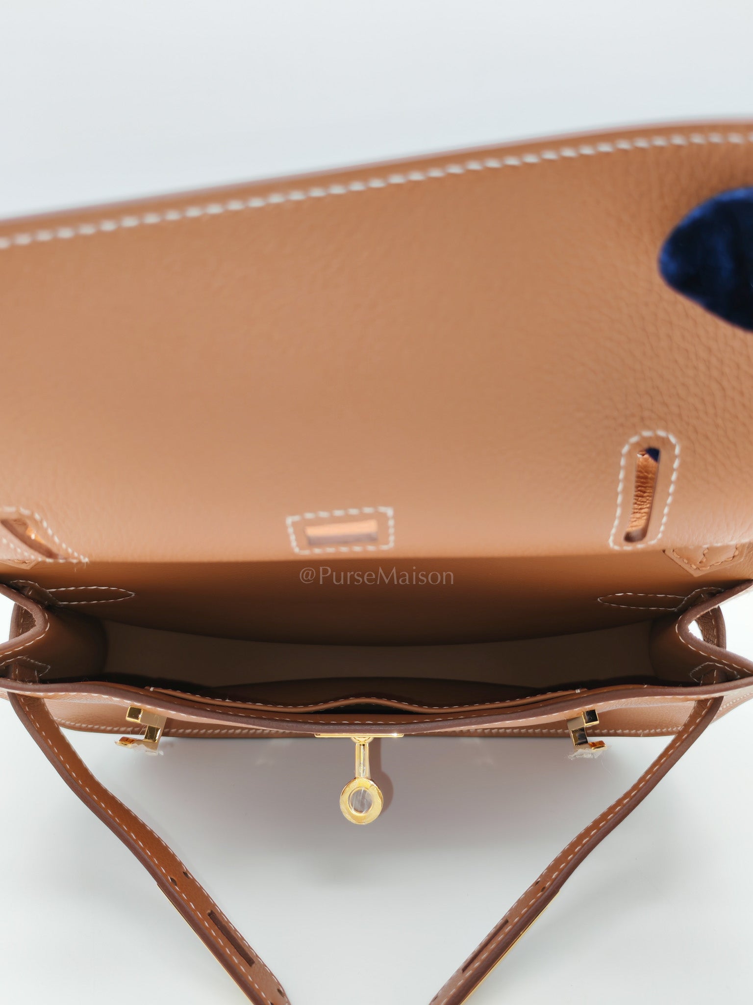 Jypsiere Mini in Gold Evercolor Leather & Gold Hardware Stamp W (2024)