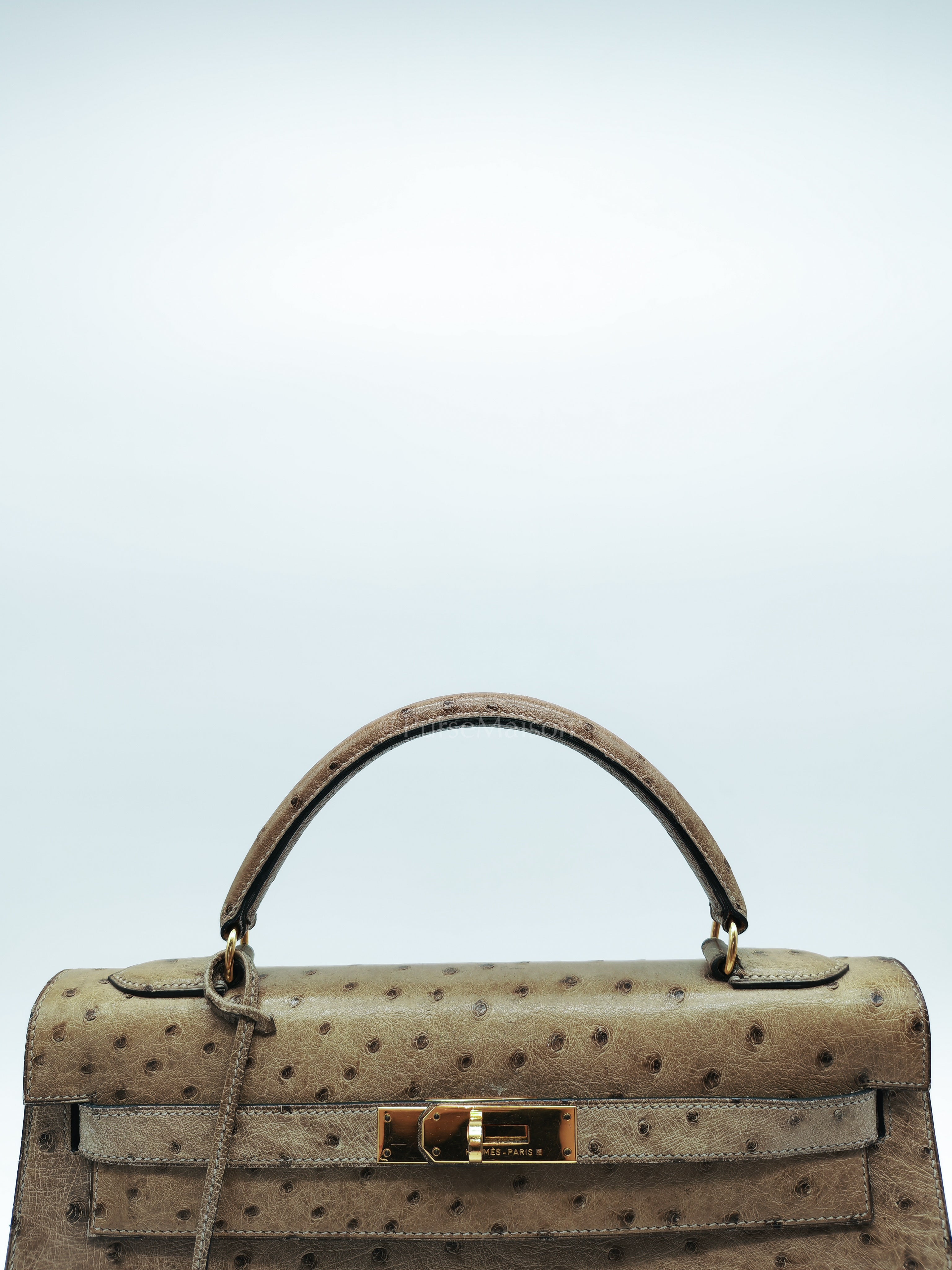Kelly 32 Sellier in Mousse Ostrich Leather & Gold Hardware Stamp Circle V (1992) | Purse Maison Luxury Bags Shop