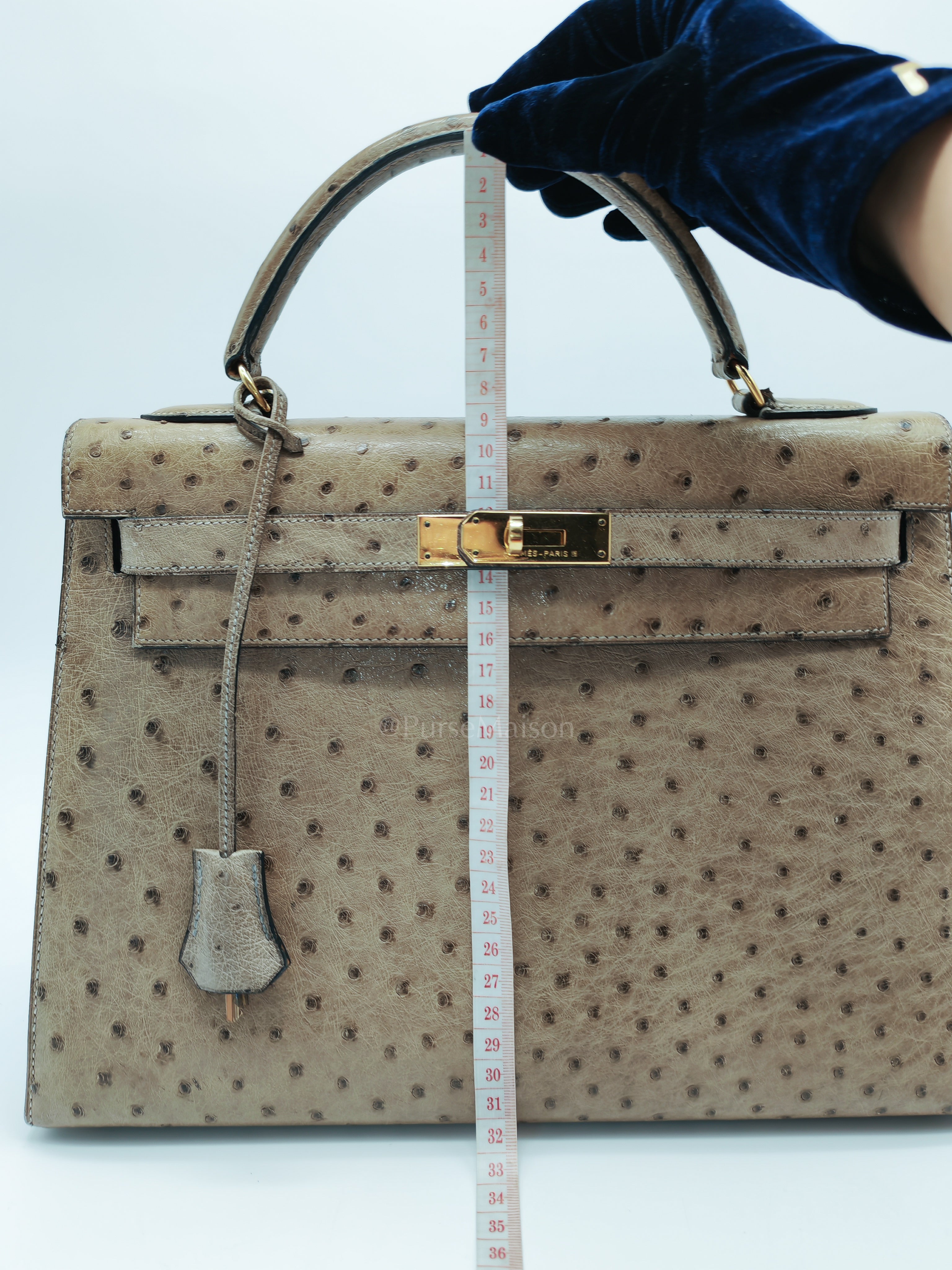 Kelly 32 Sellier in Mousse Ostrich Leather & Gold Hardware Stamp Circle V (1992) | Purse Maison Luxury Bags Shop