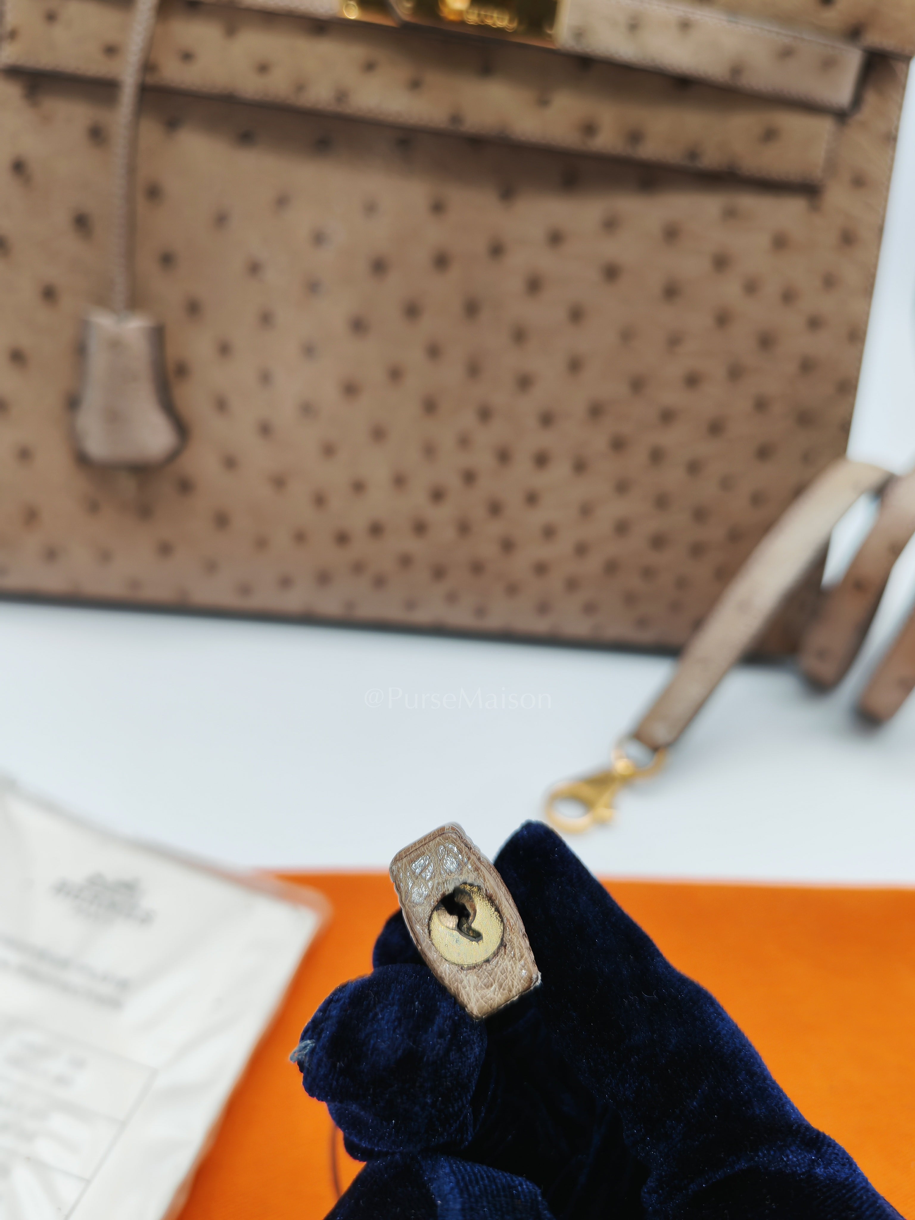 Kelly 32 Sellier in Mousse Ostrich Leather & Gold Hardware Stamp Circle V (1992) | Purse Maison Luxury Bags Shop